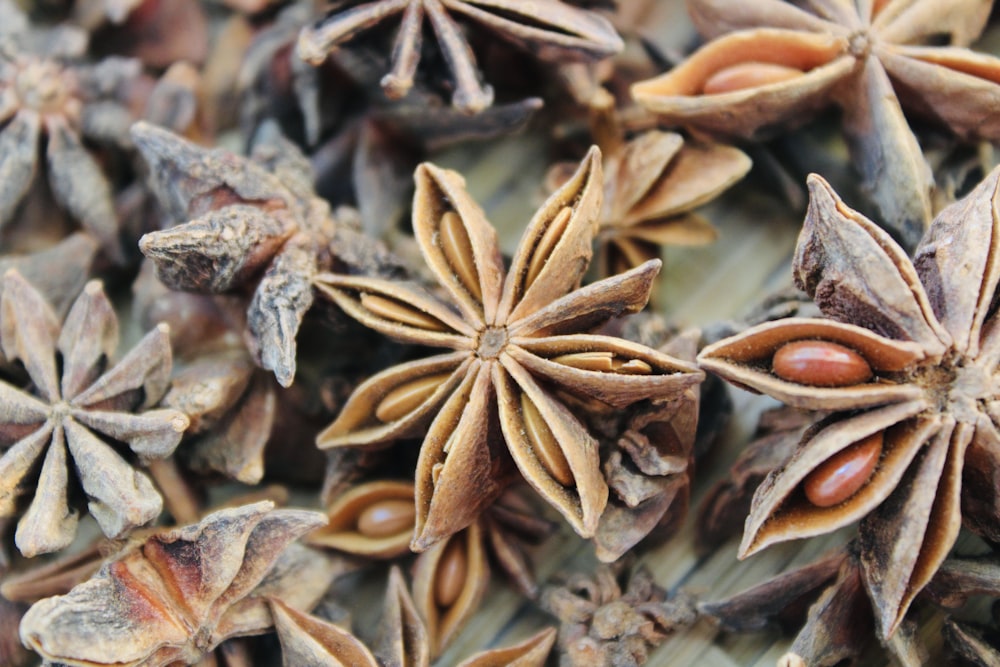 a bunch of star anise on a table