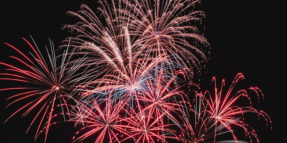 a bunch of fireworks that are in the sky