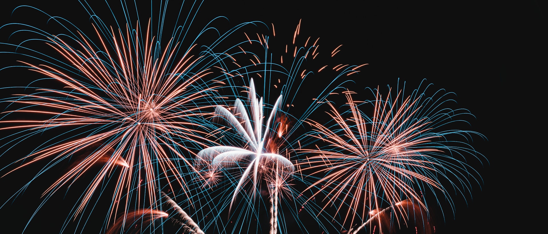 a fireworks display is shown in the dark sky
