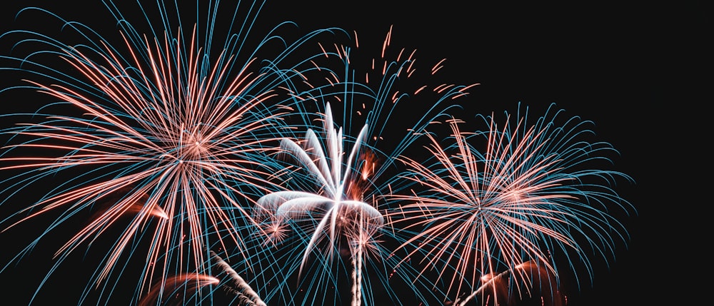 a fireworks display is shown in the dark sky