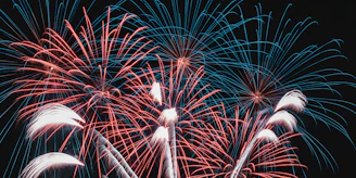 a bunch of fireworks that are in the sky