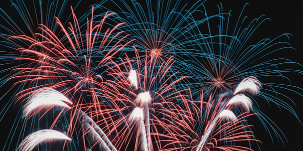 a bunch of fireworks that are in the sky