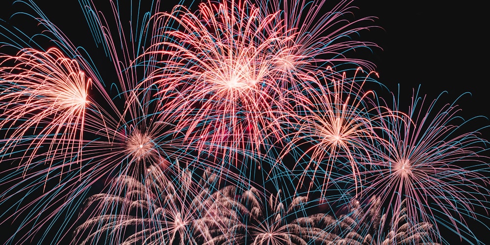 a bunch of fireworks that are in the sky