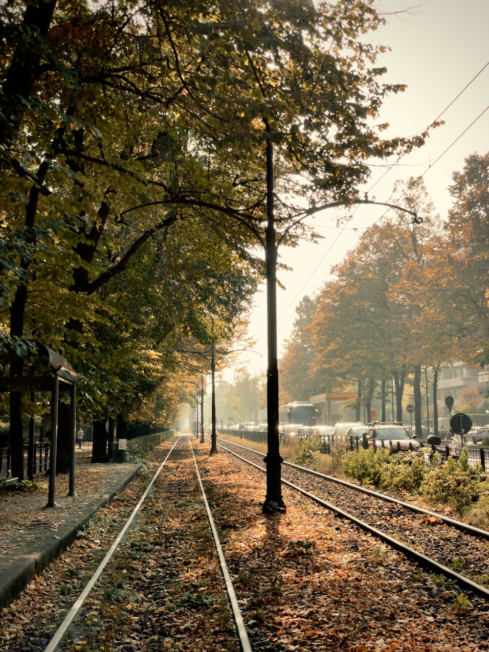 a train track with trees on both sides of it