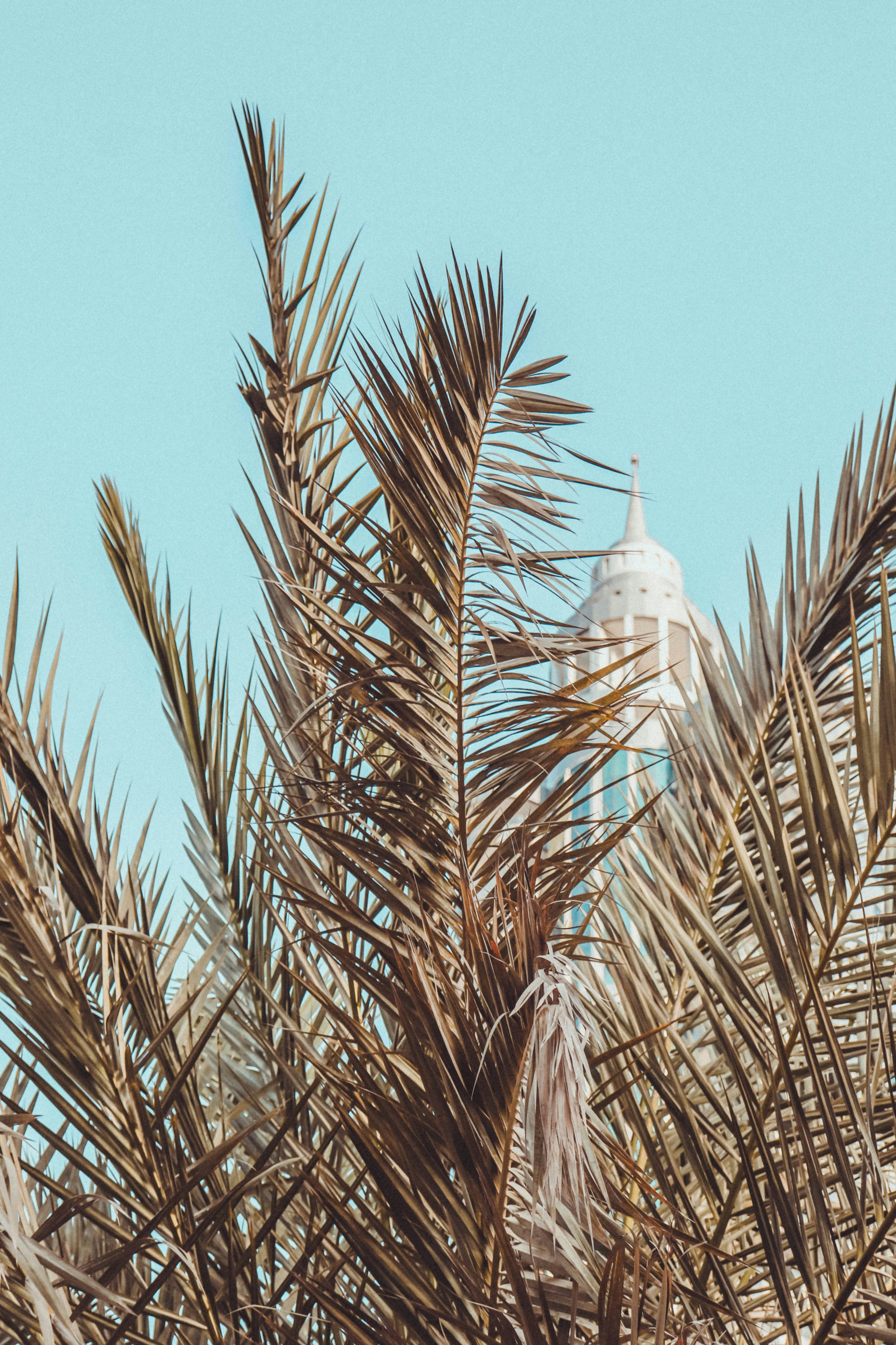 Photo by agatagrochala