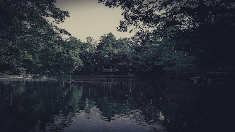 a body of water surrounded by trees