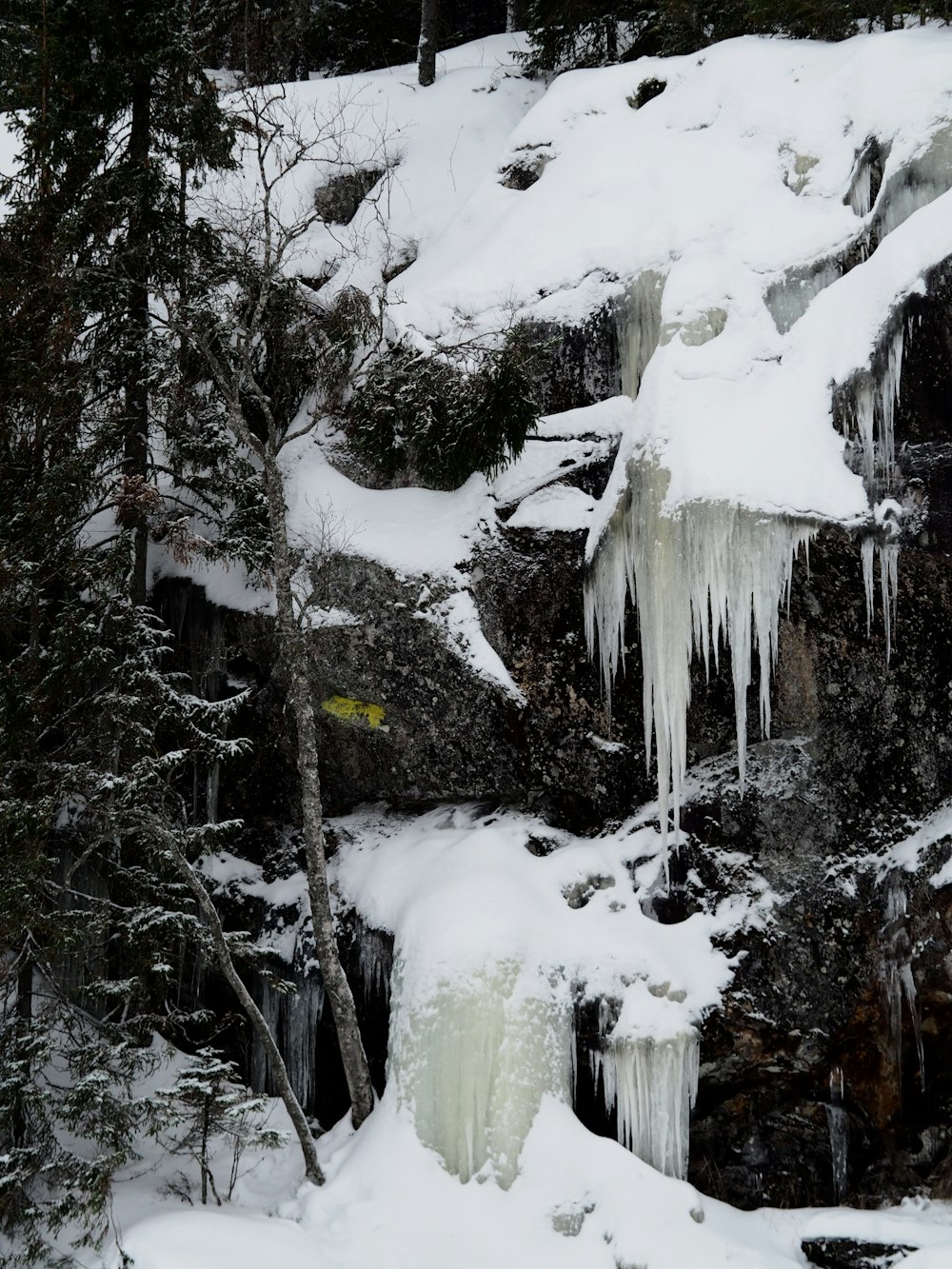 a frozen waterfall in the middle of a forest