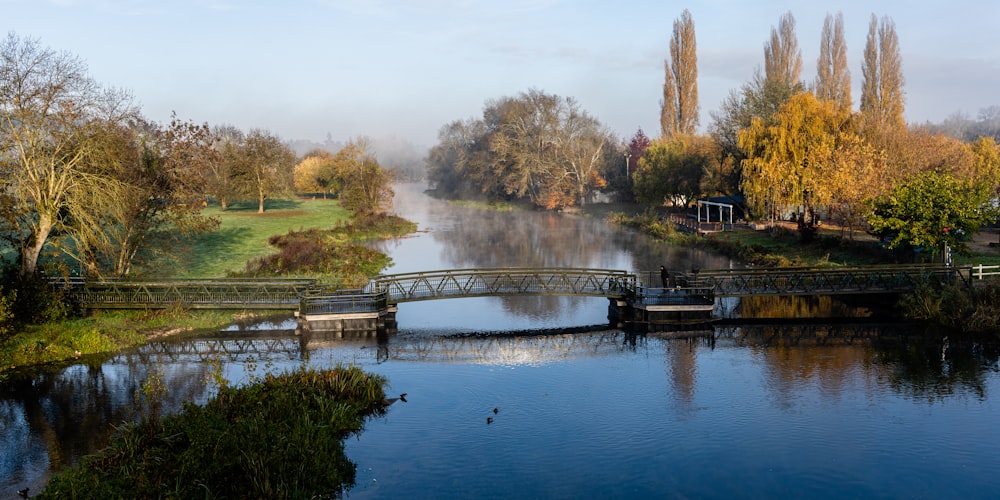 a bridge over a body of water surrounded by trees