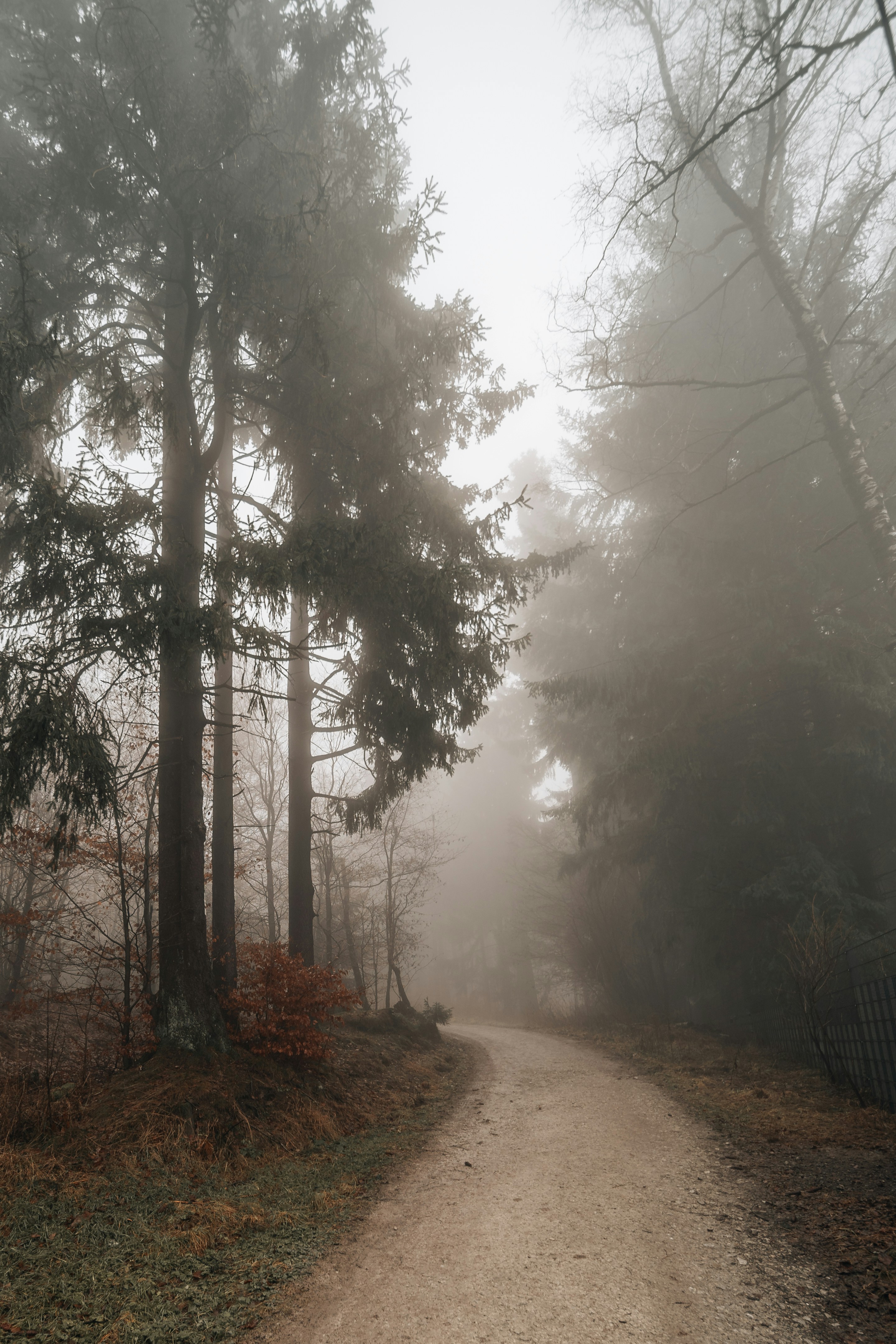 Photo by masoodaslami