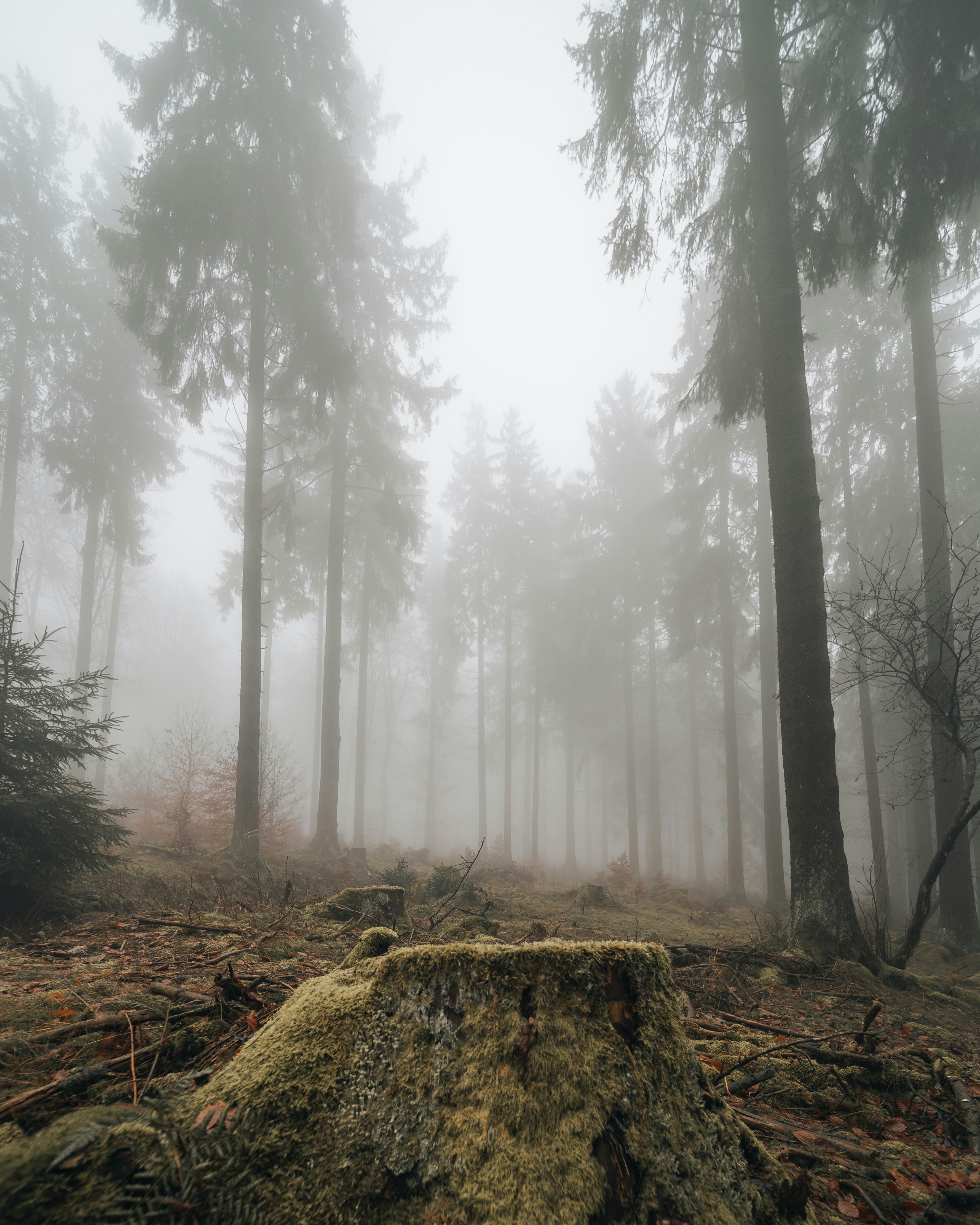 Photo by masoodaslami