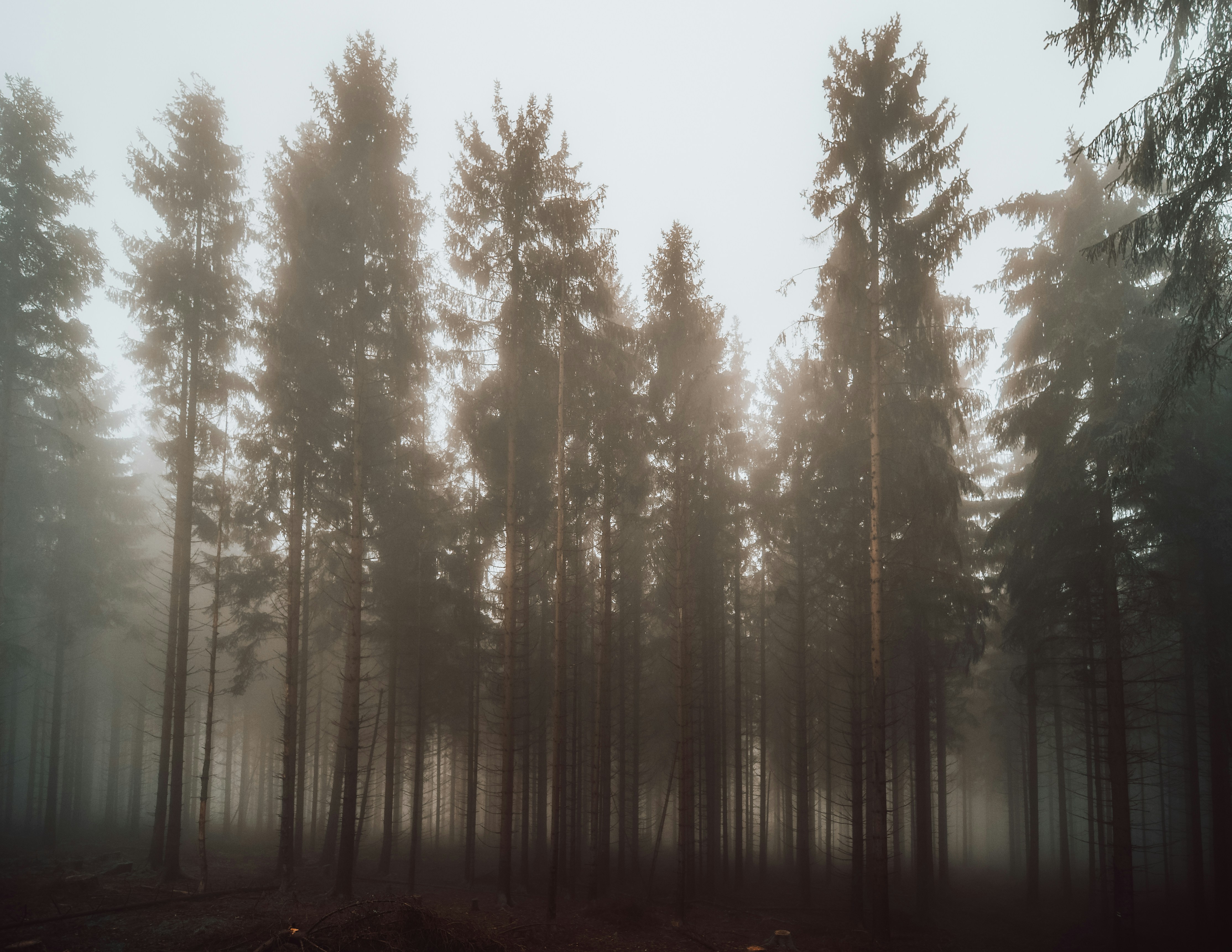 Photo by masoodaslami