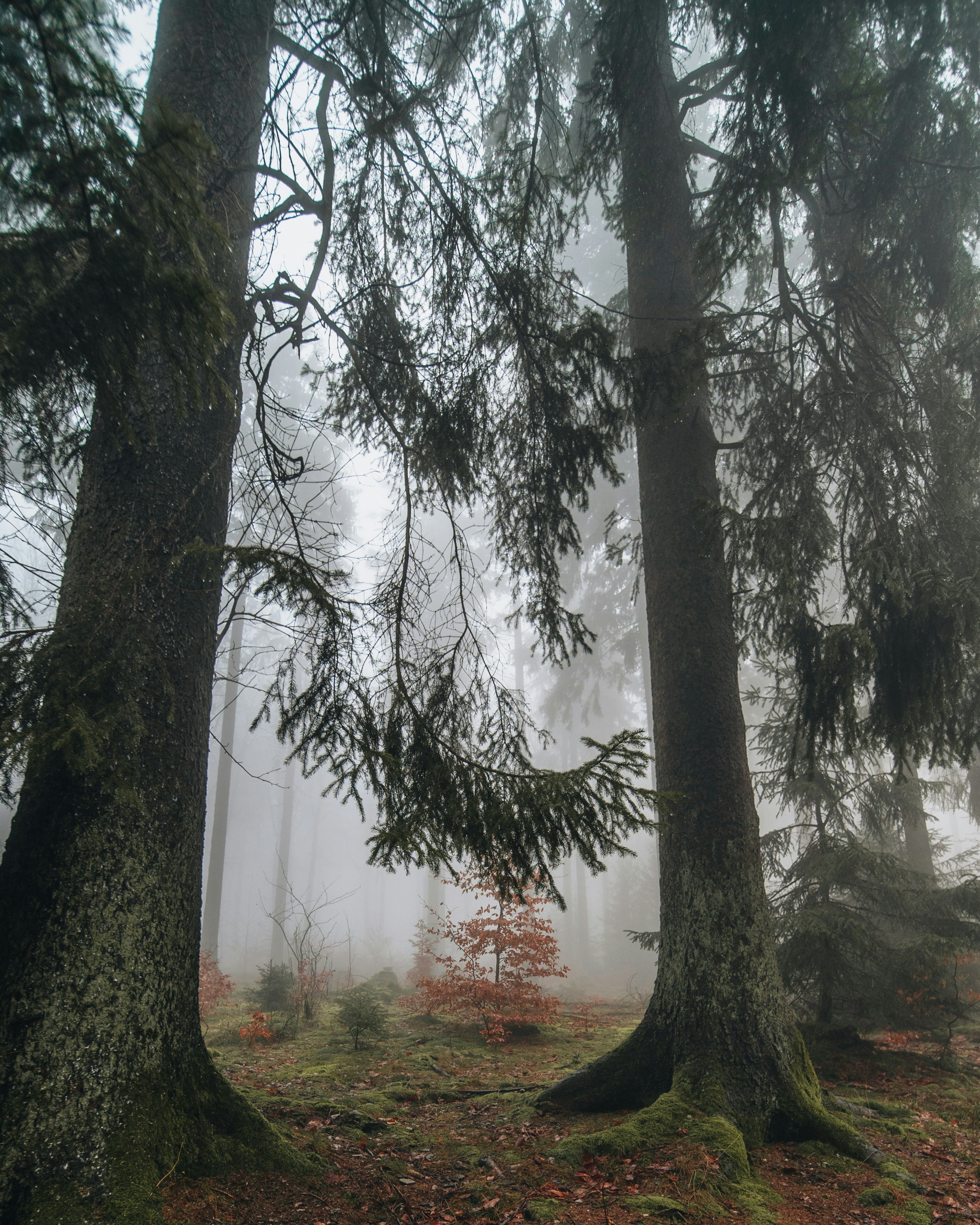 Photo by masoodaslami