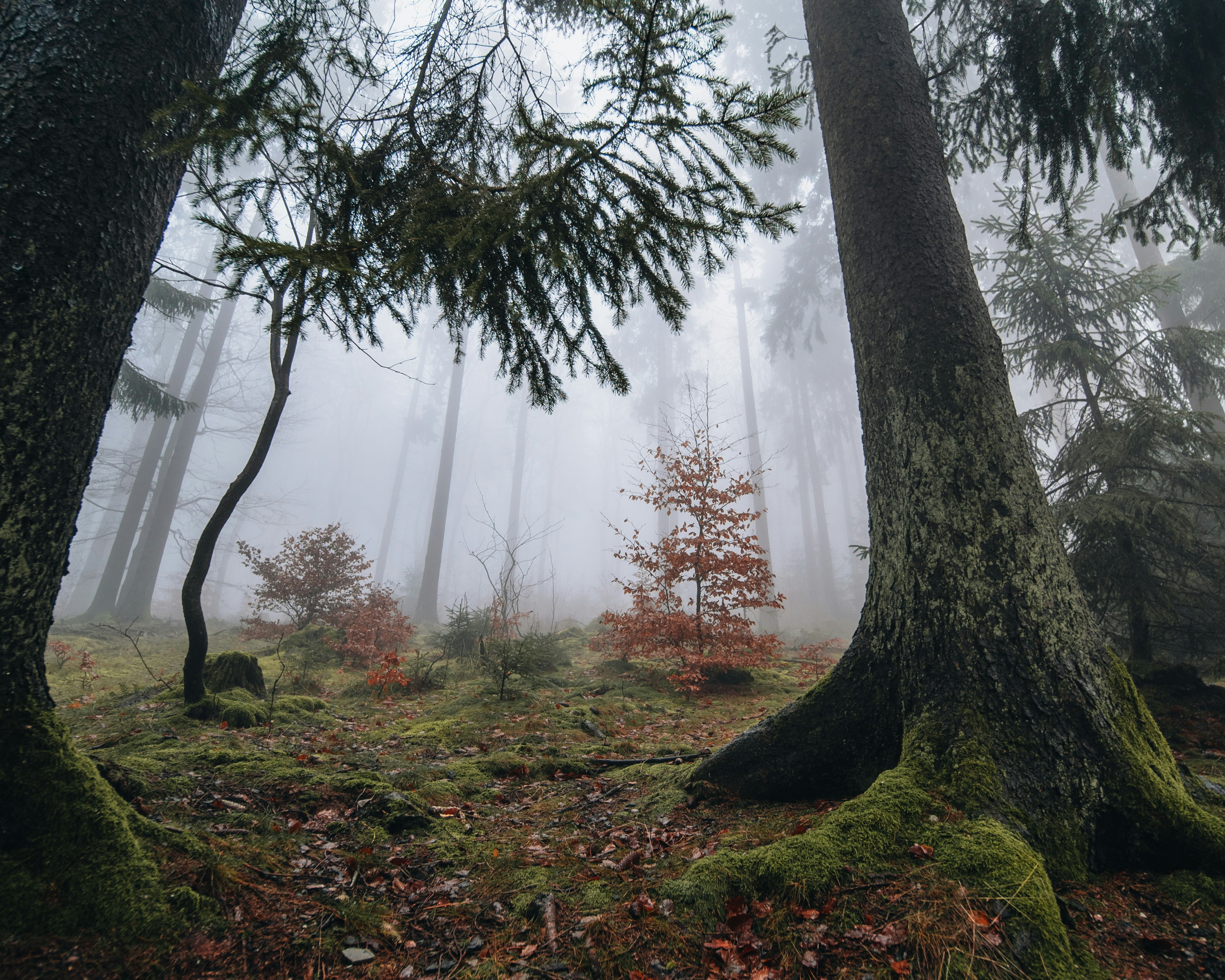 Photo by masoodaslami