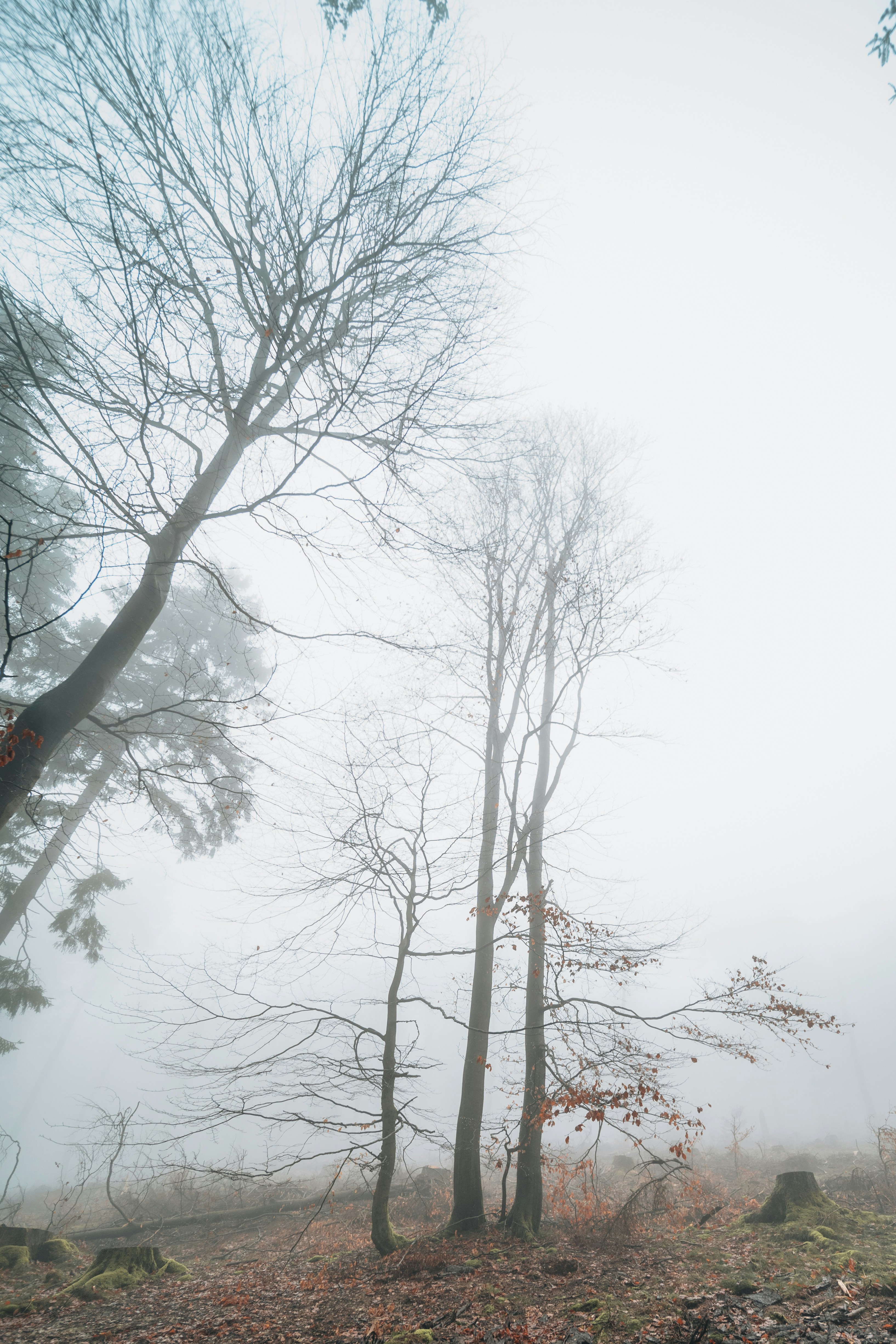 Photo by masoodaslami