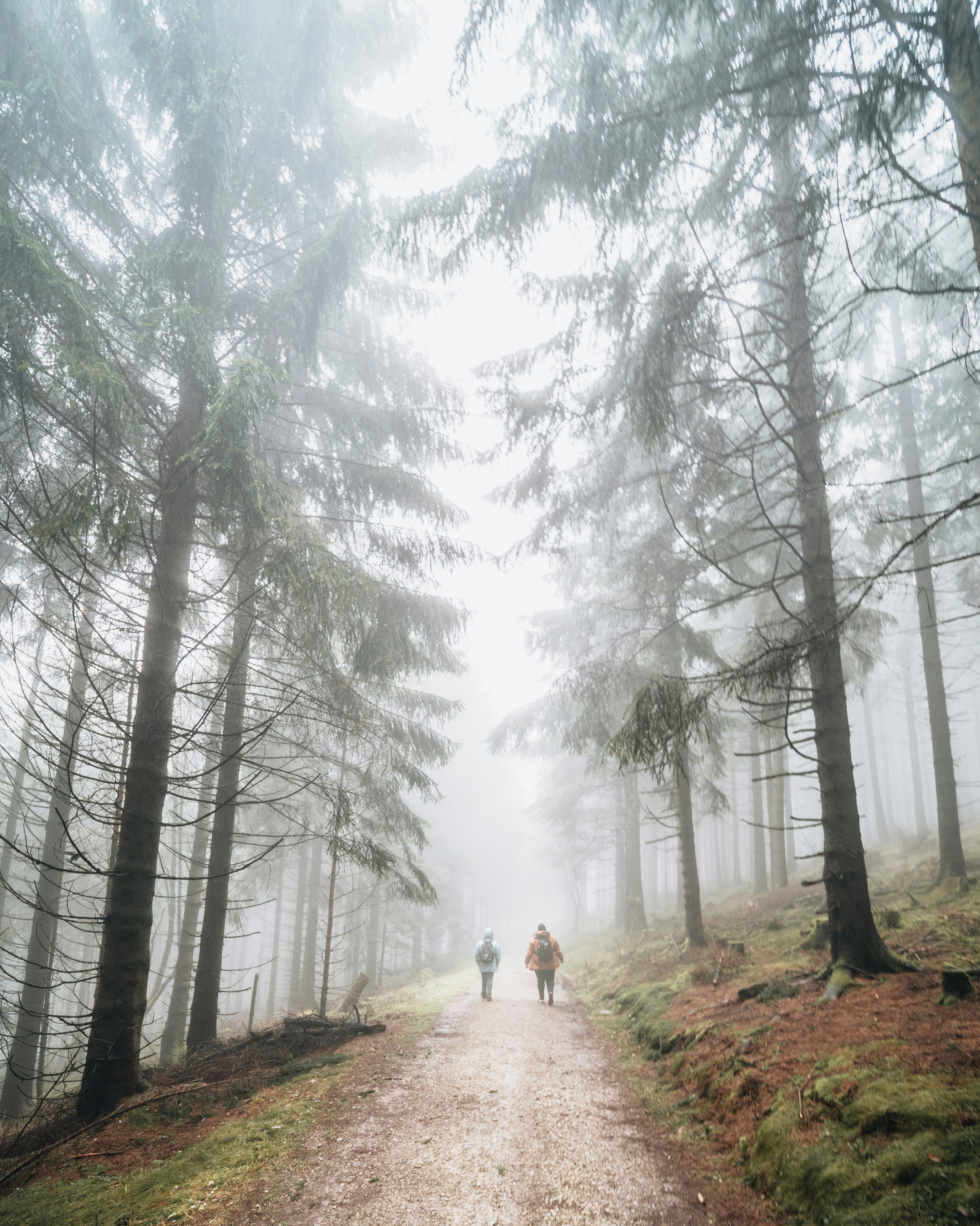 Photo by masoodaslami