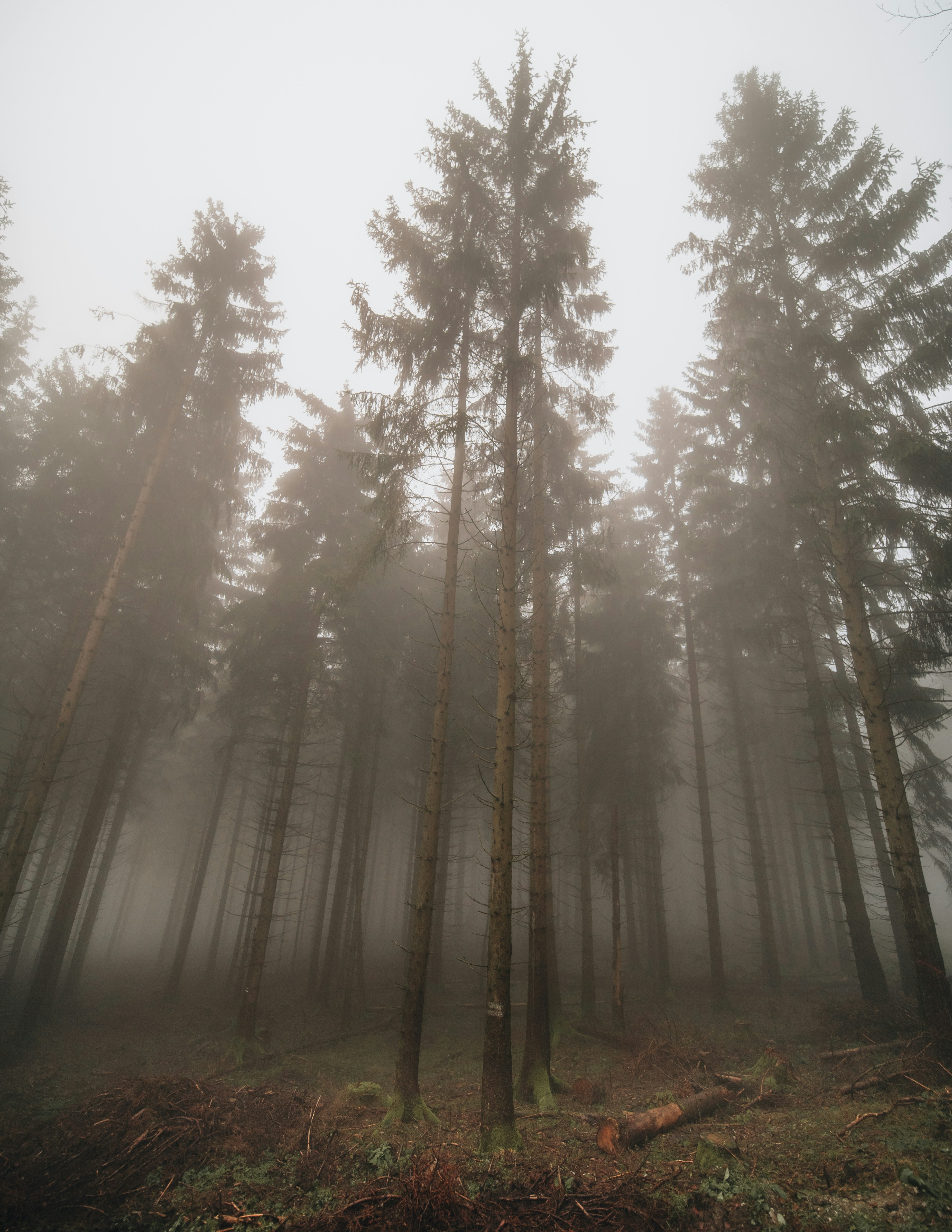 Photo by masoodaslami