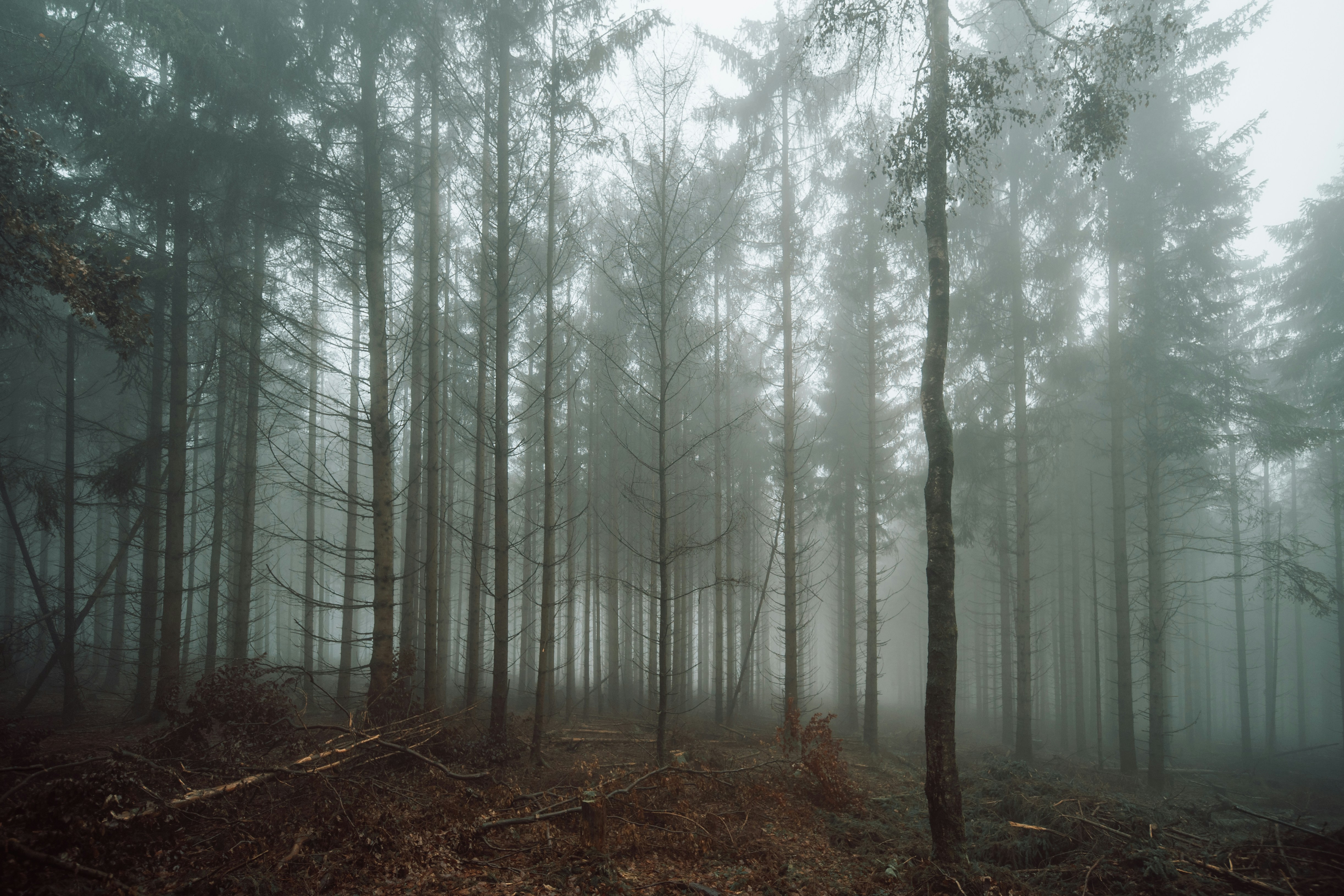 Photo by masoodaslami