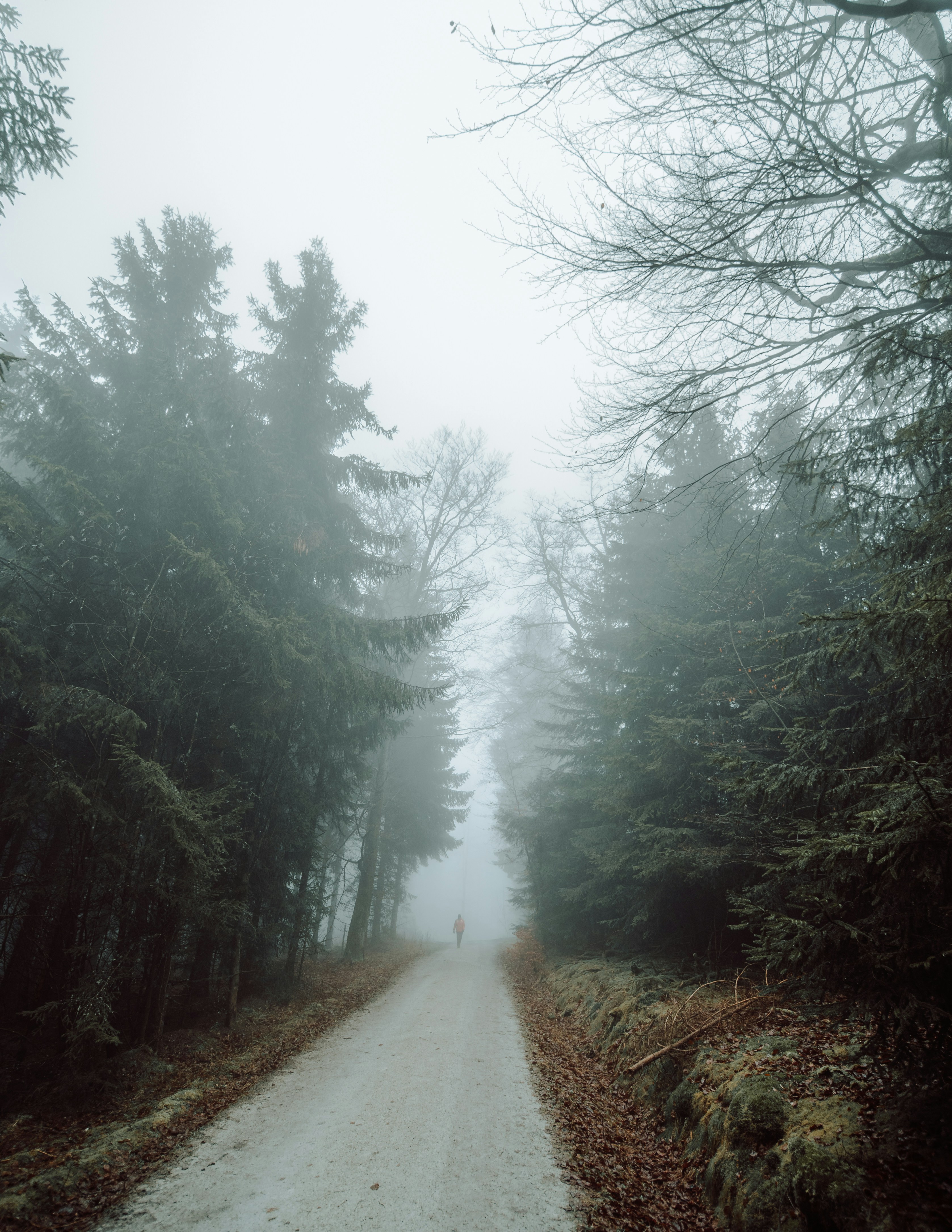 Photo by masoodaslami