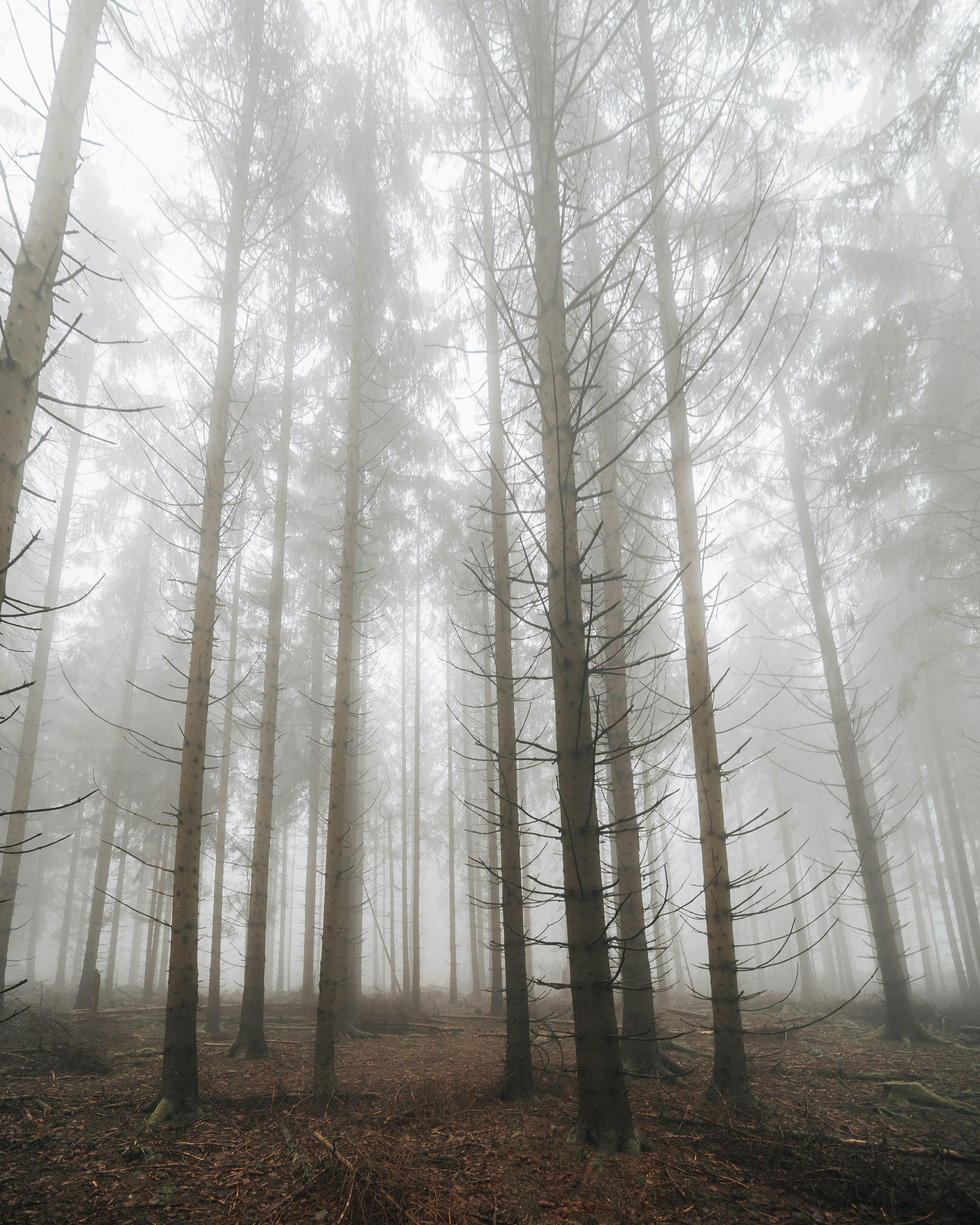 Photo by masoodaslami