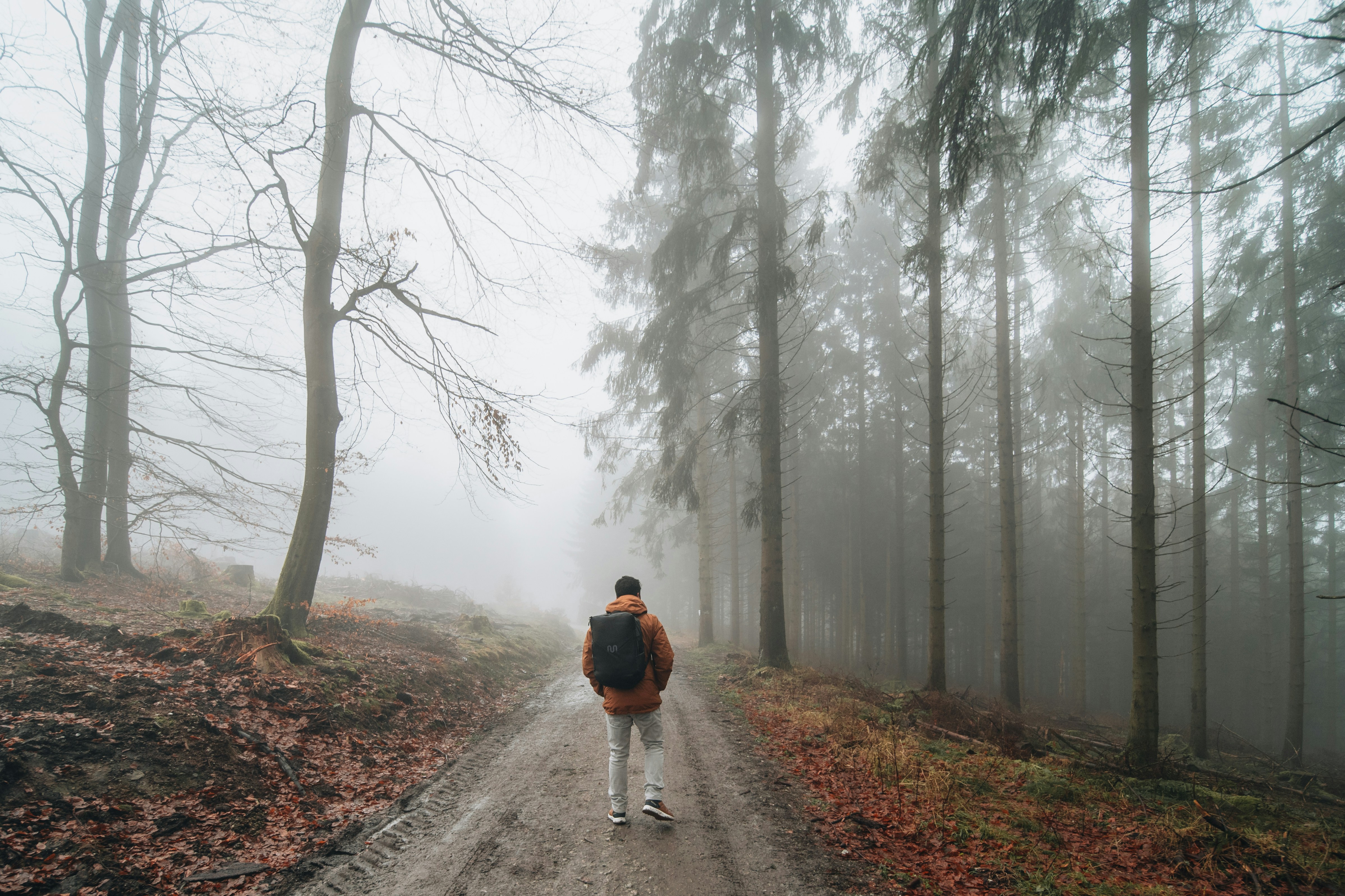 Photo by masoodaslami