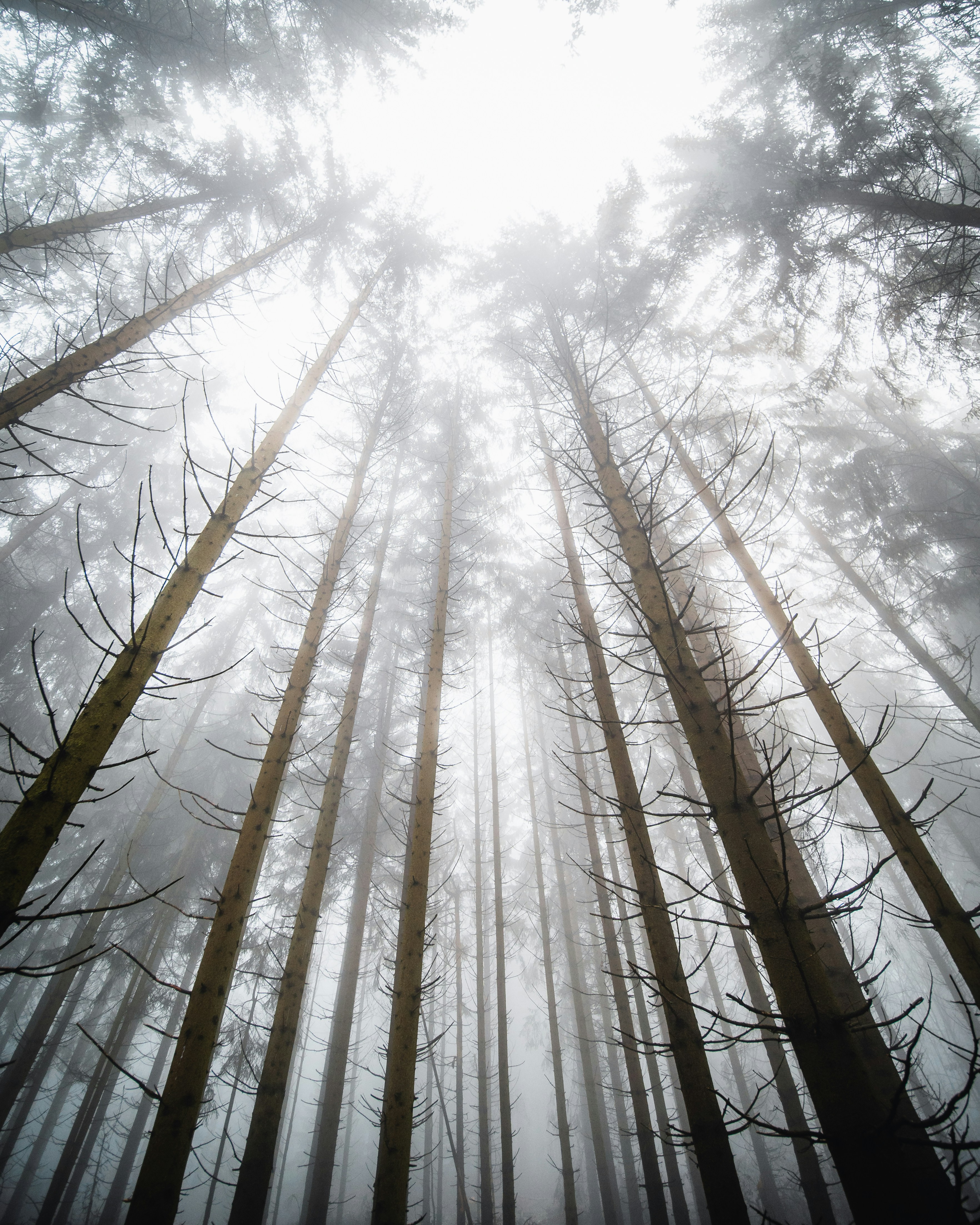 Photo by masoodaslami