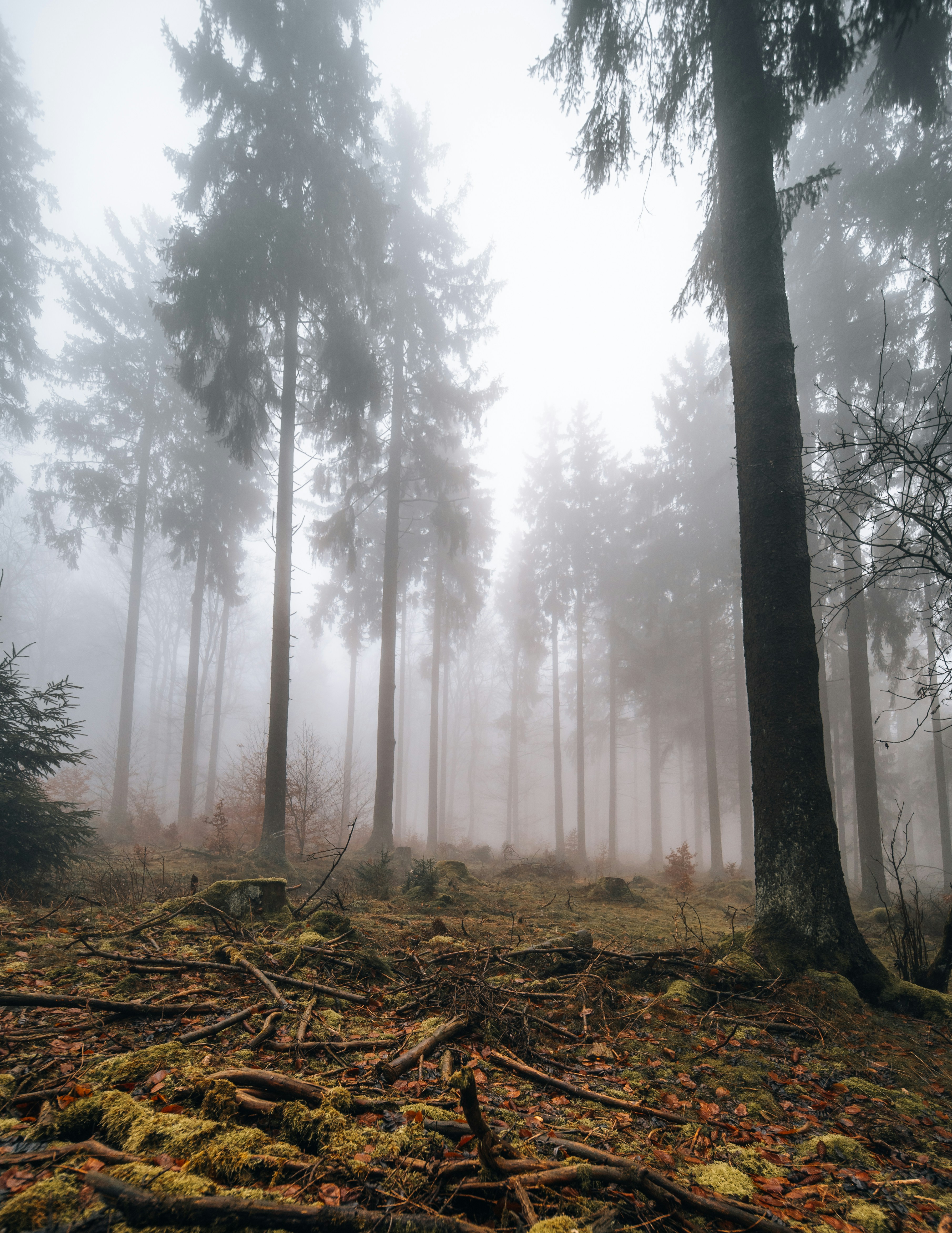 Photo by masoodaslami