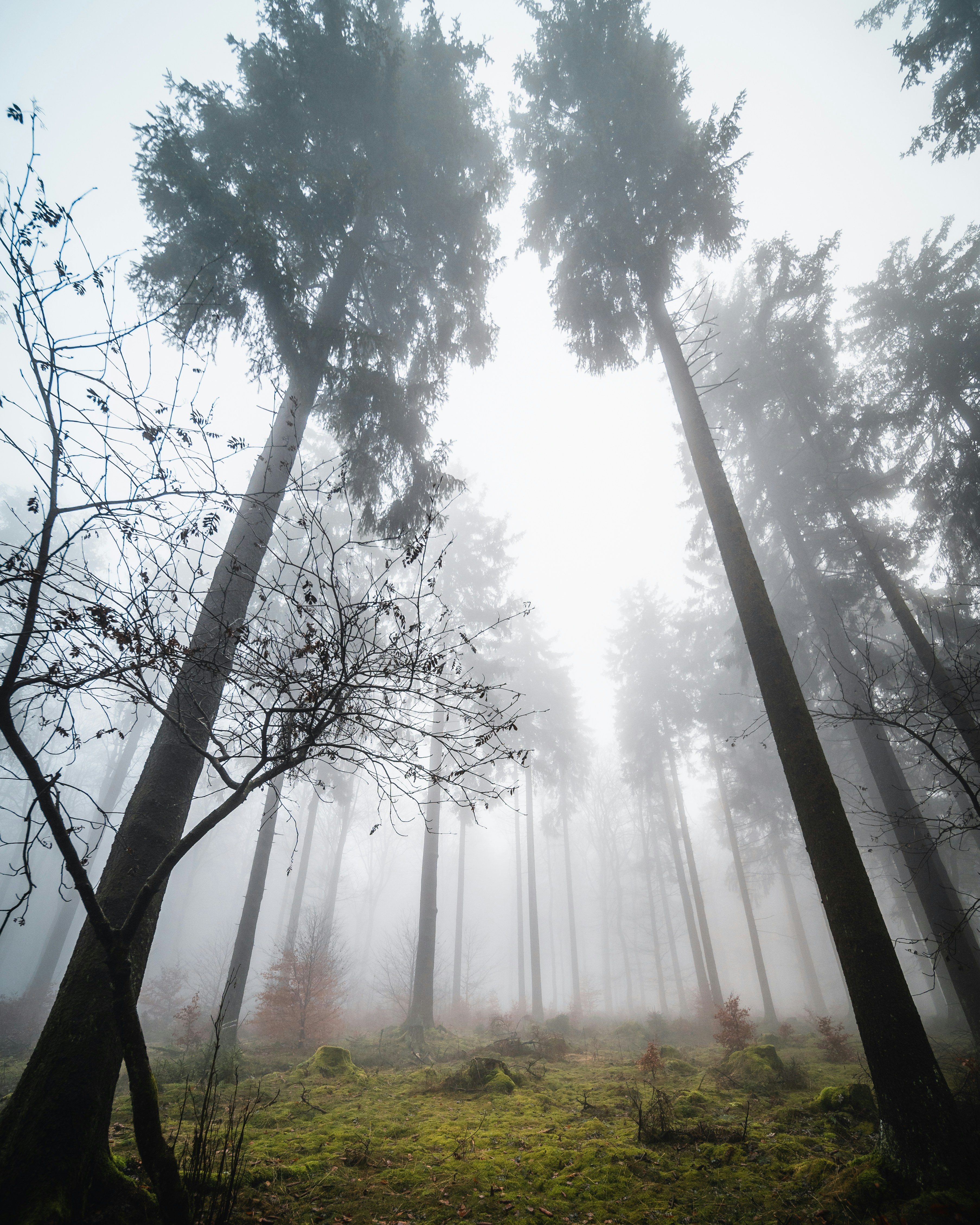 Photo by masoodaslami