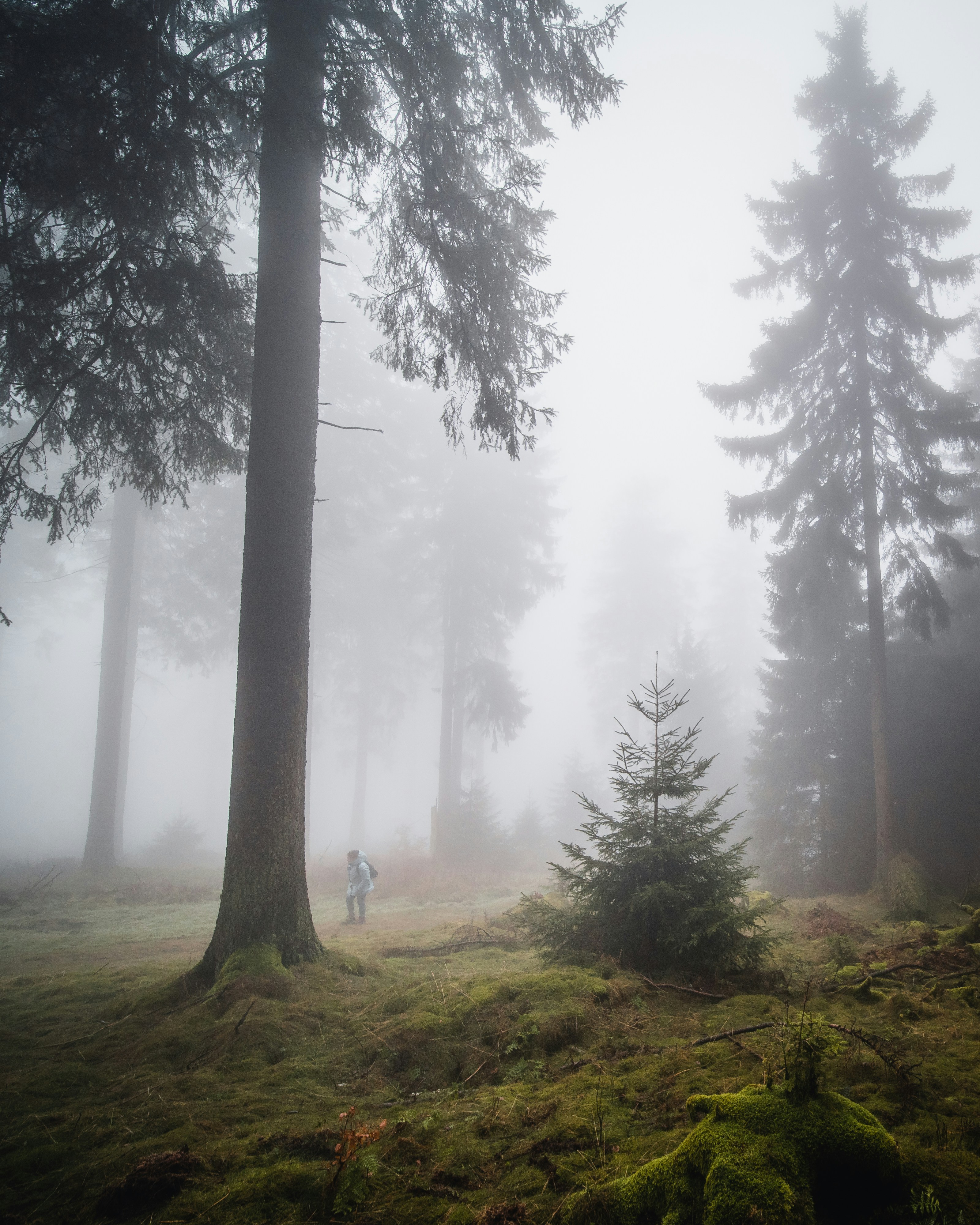 Photo by masoodaslami