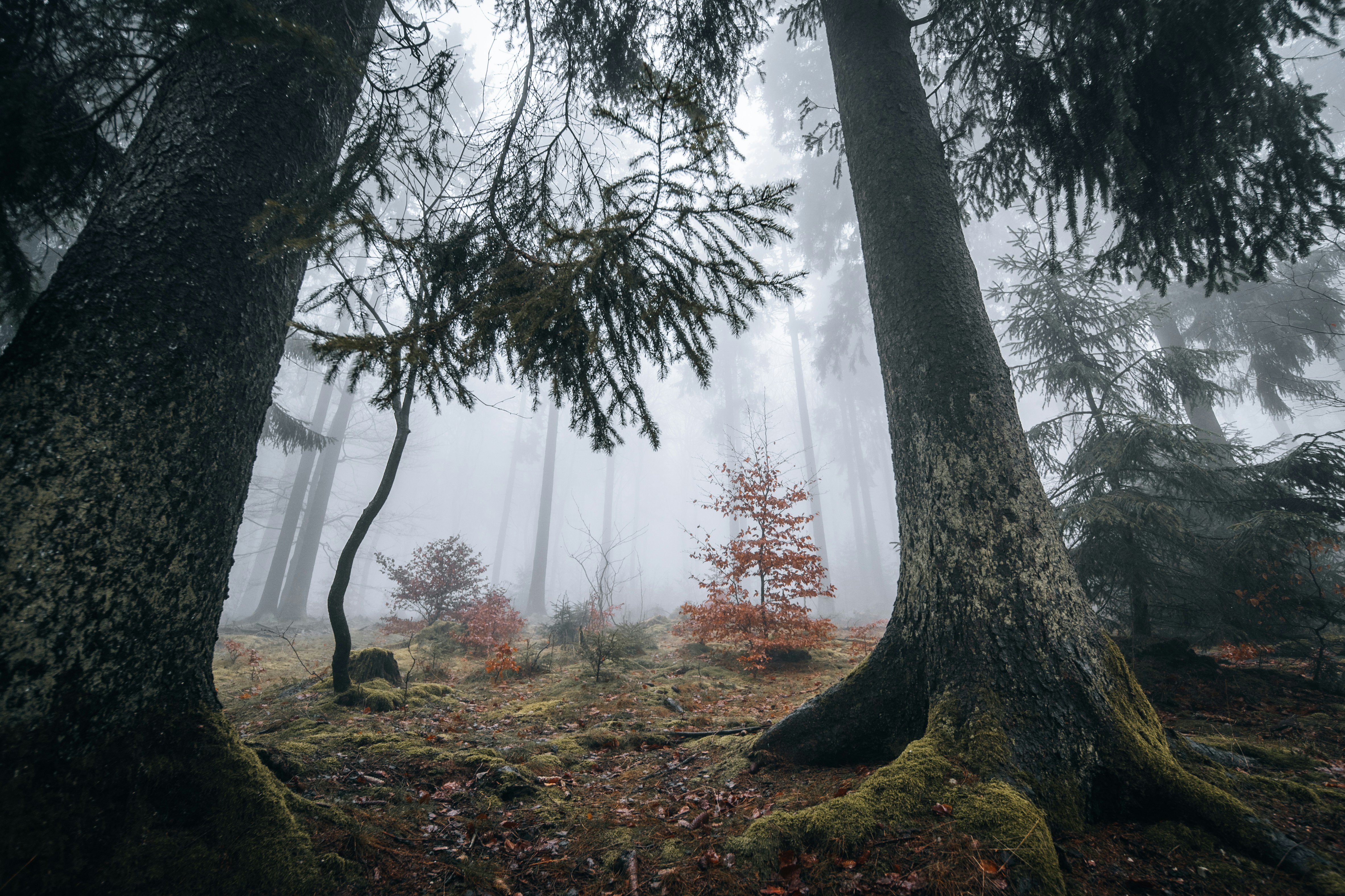 Photo by masoodaslami