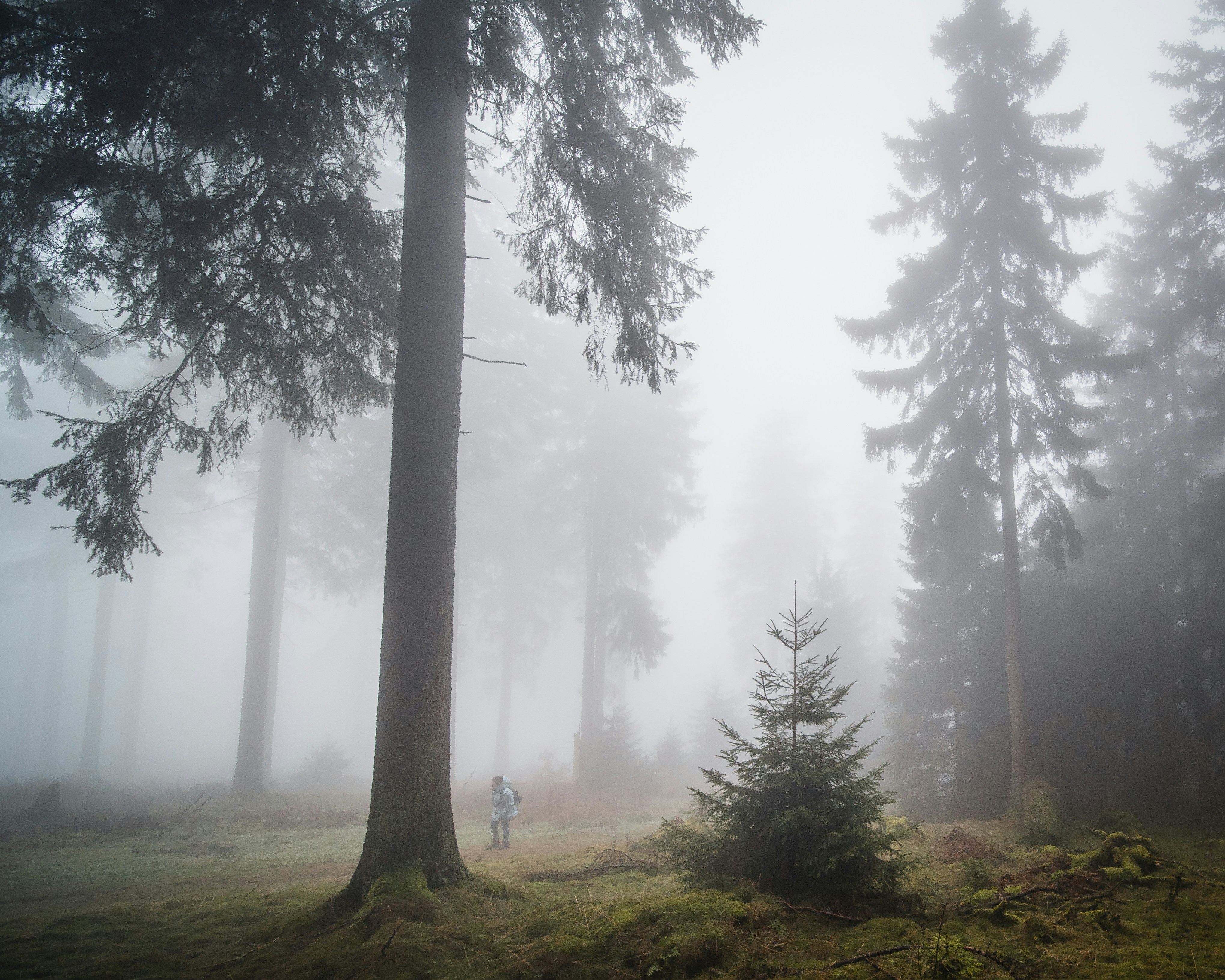 Photo by masoodaslami