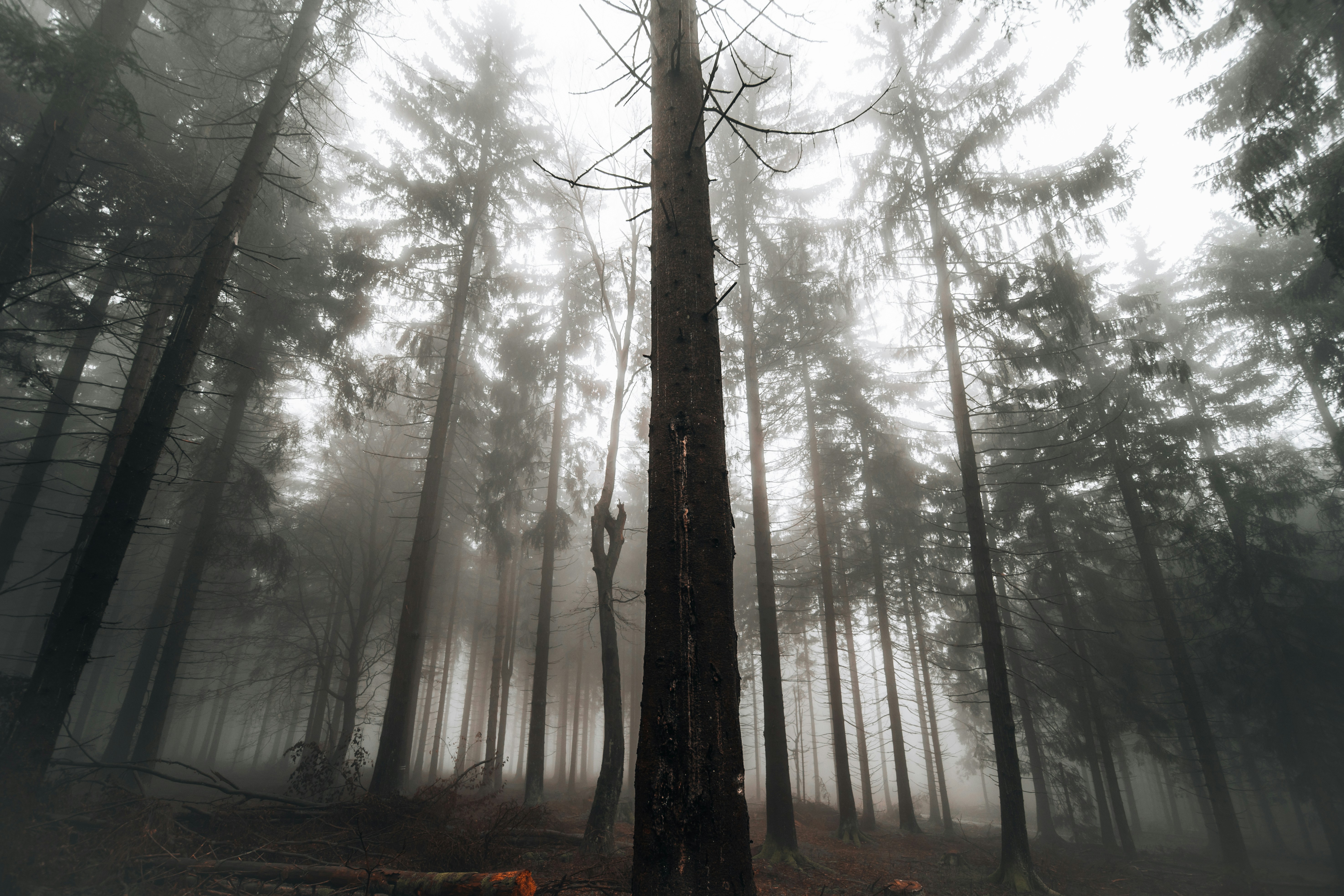 Photo by masoodaslami