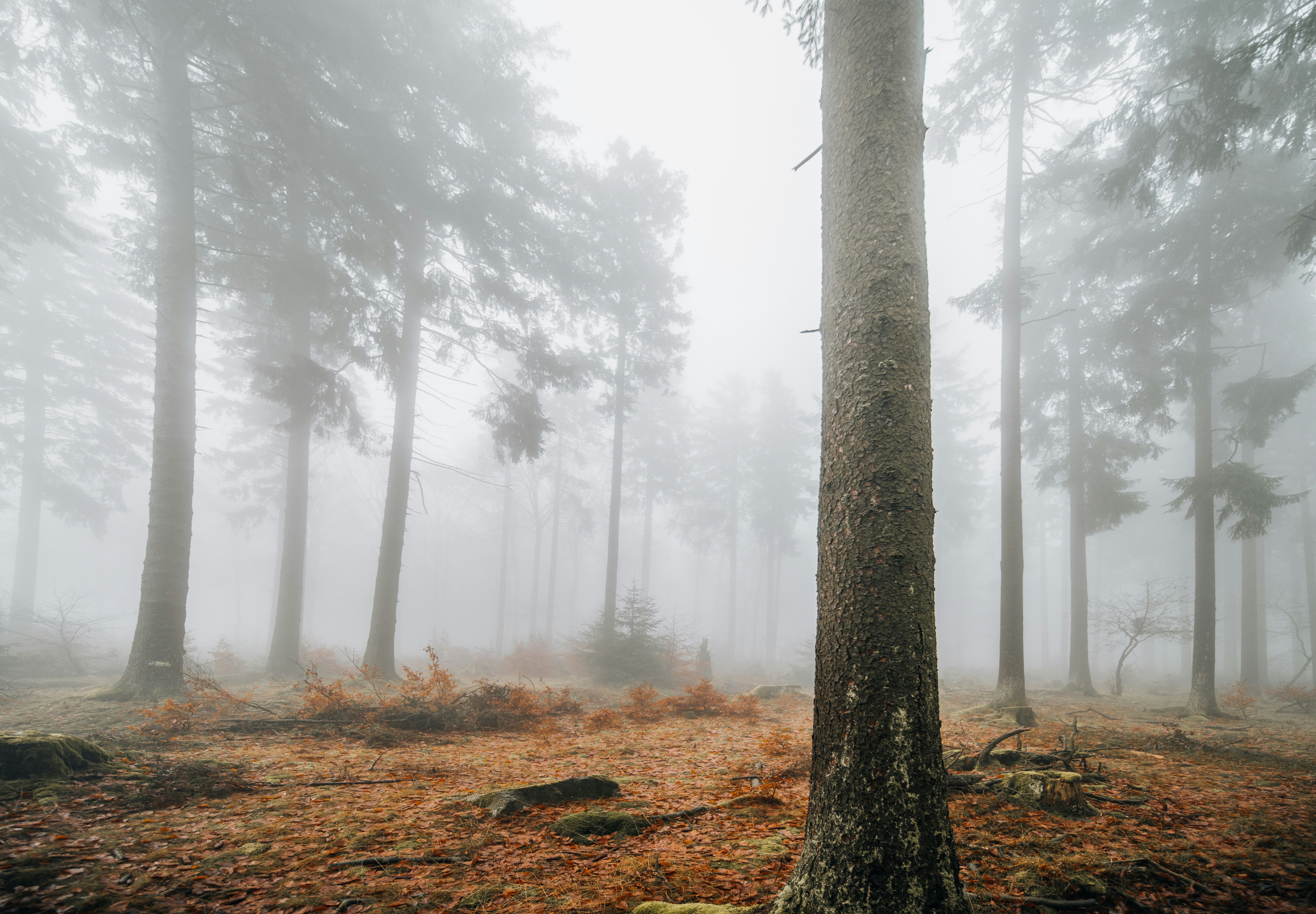 Photo by masoodaslami