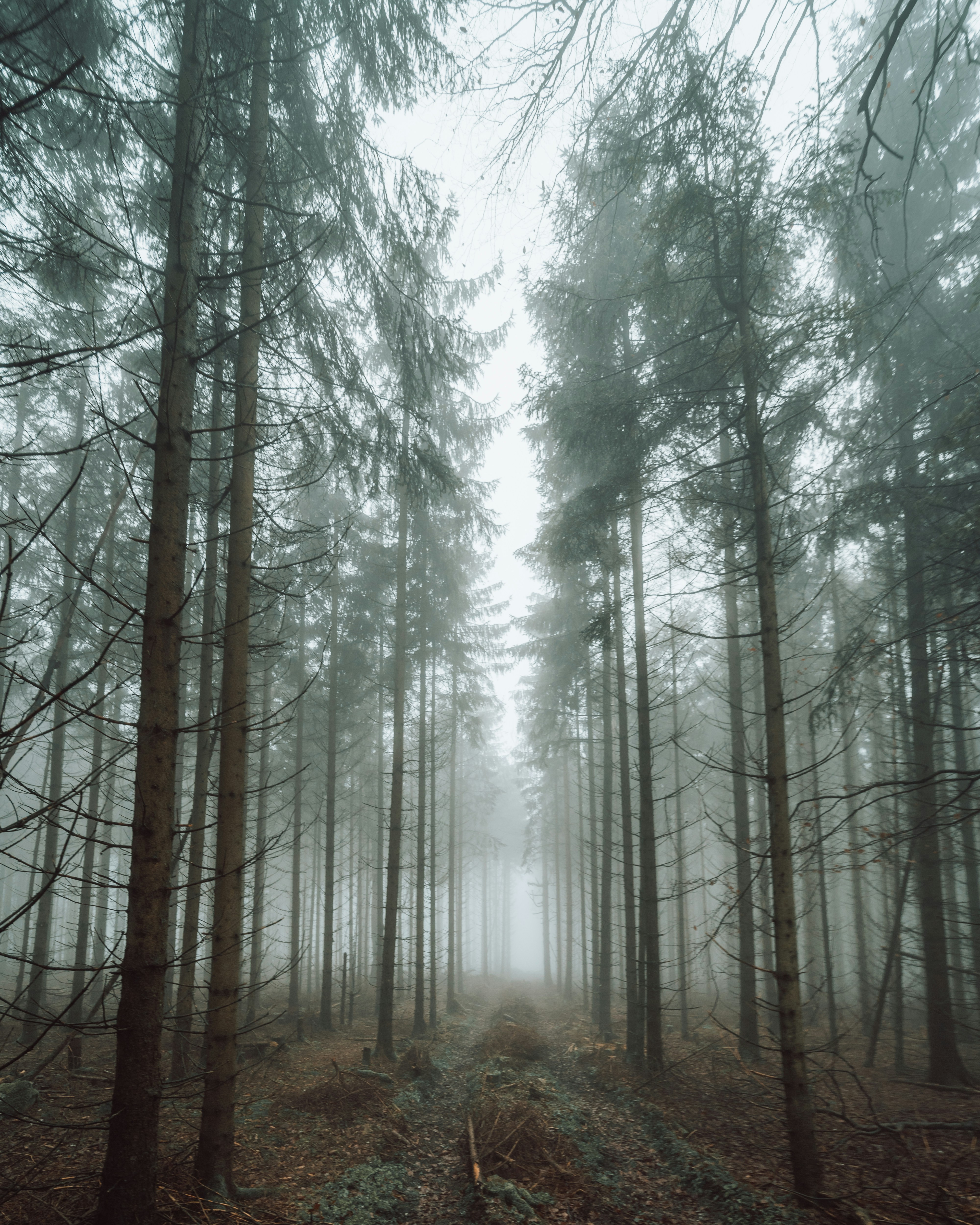 Photo by masoodaslami