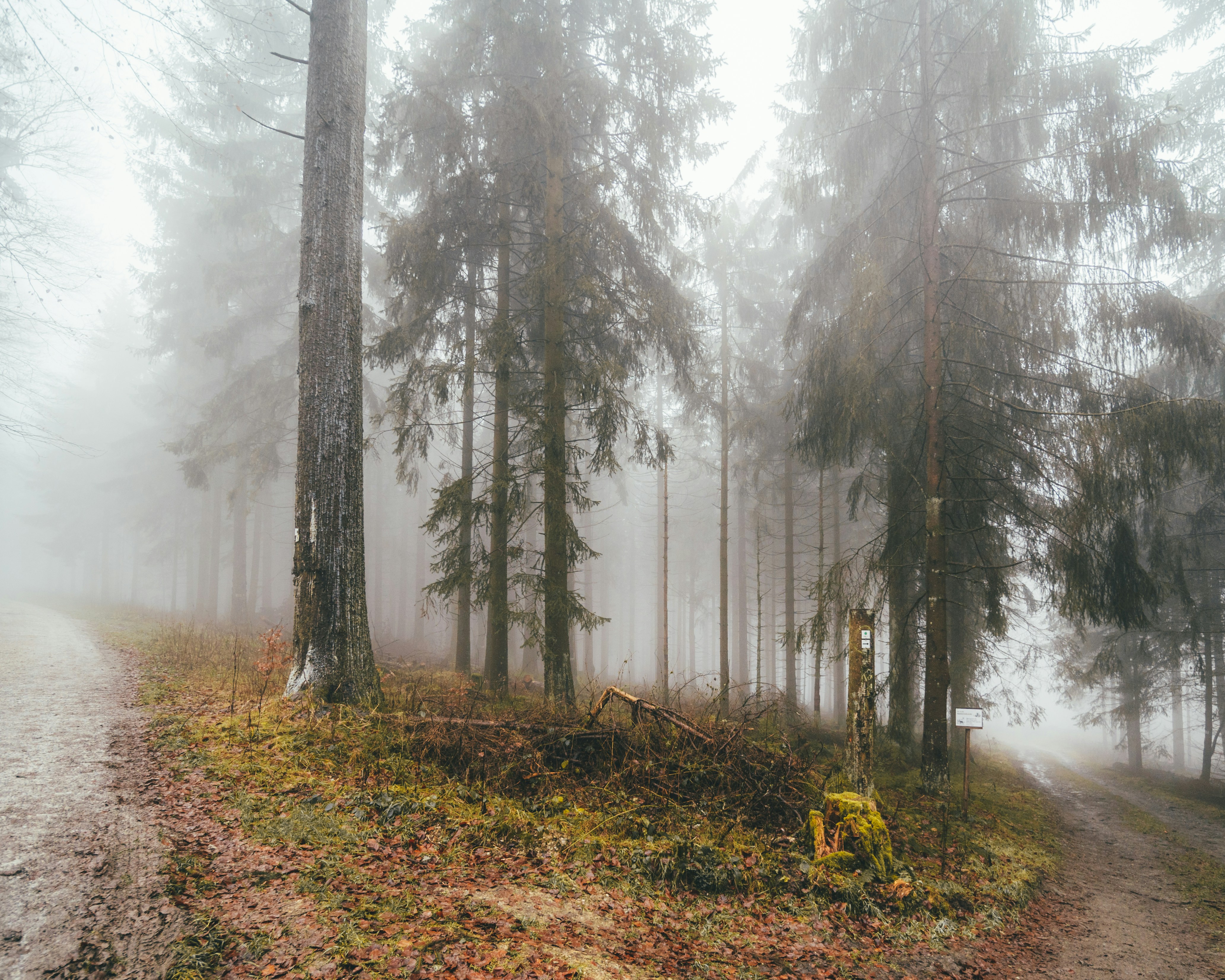 Photo by masoodaslami