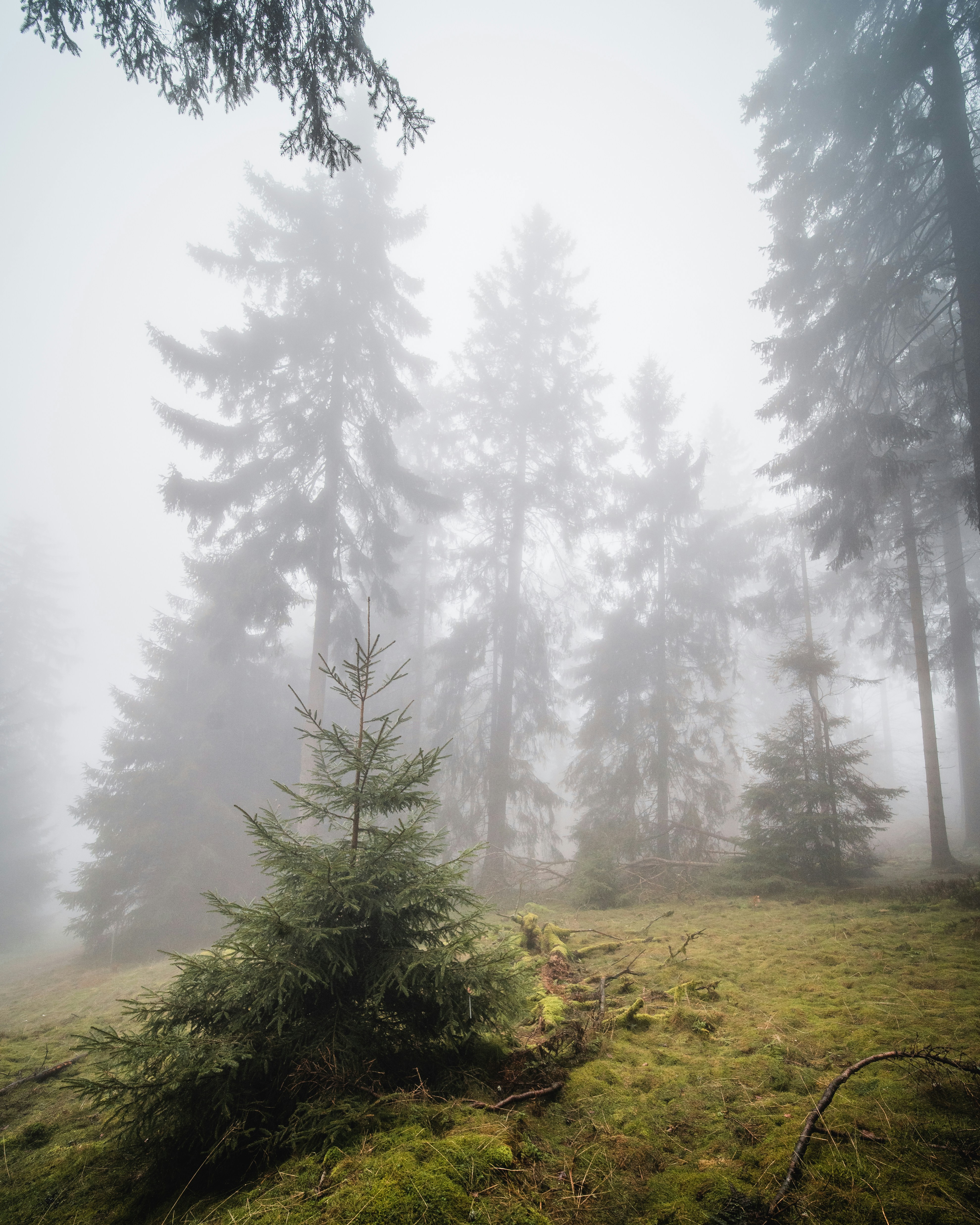 Photo by masoodaslami