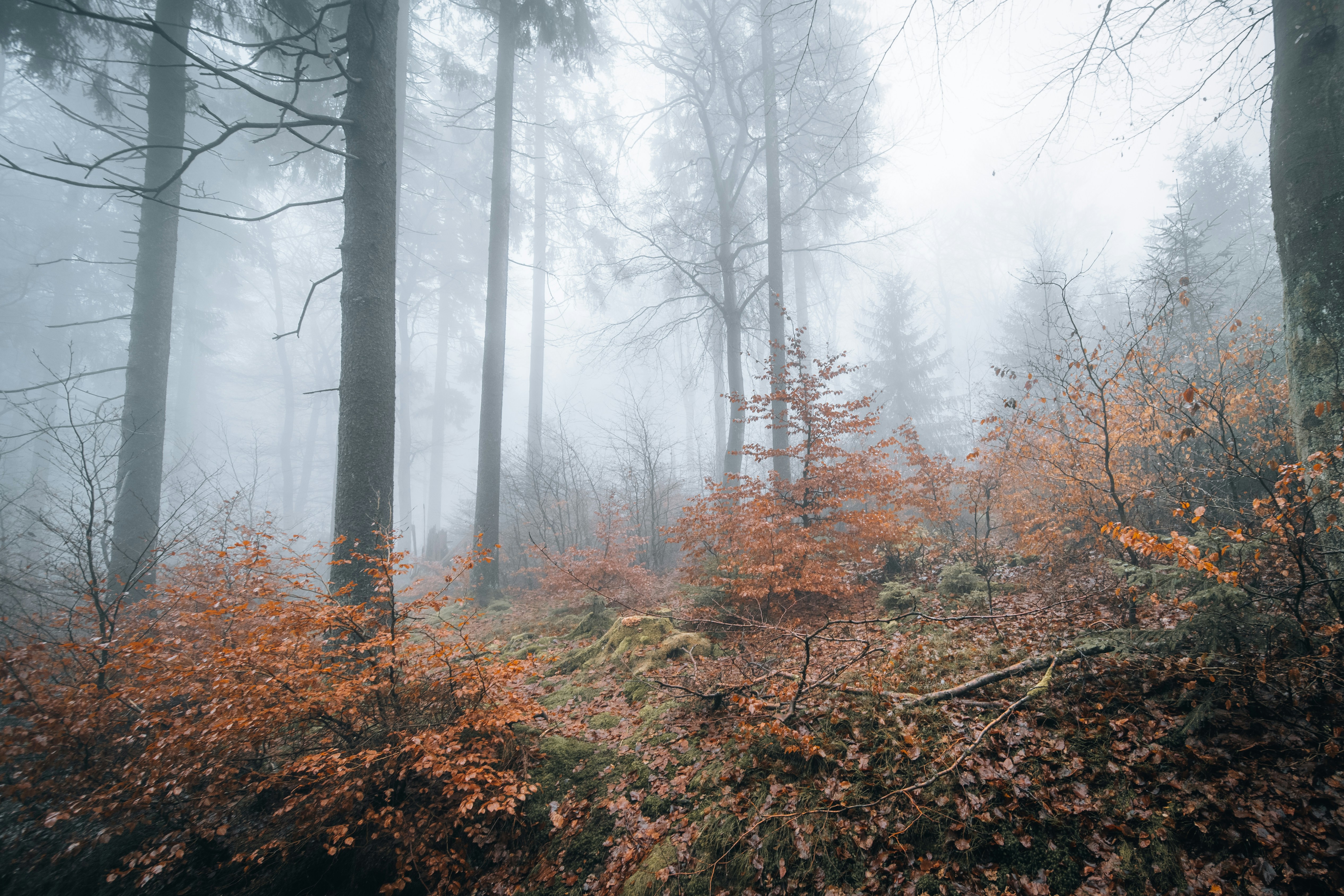 Photo by masoodaslami