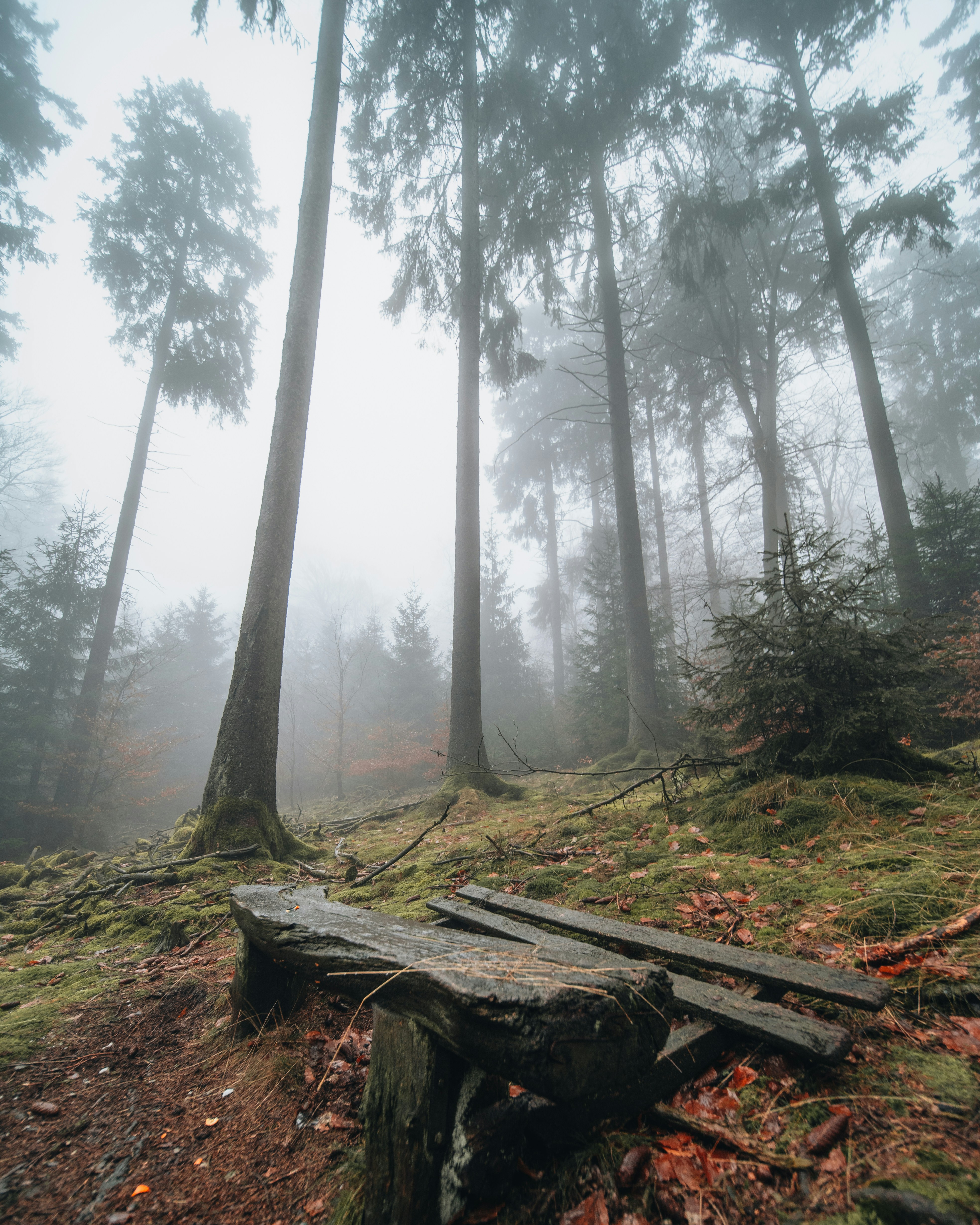 Photo by masoodaslami