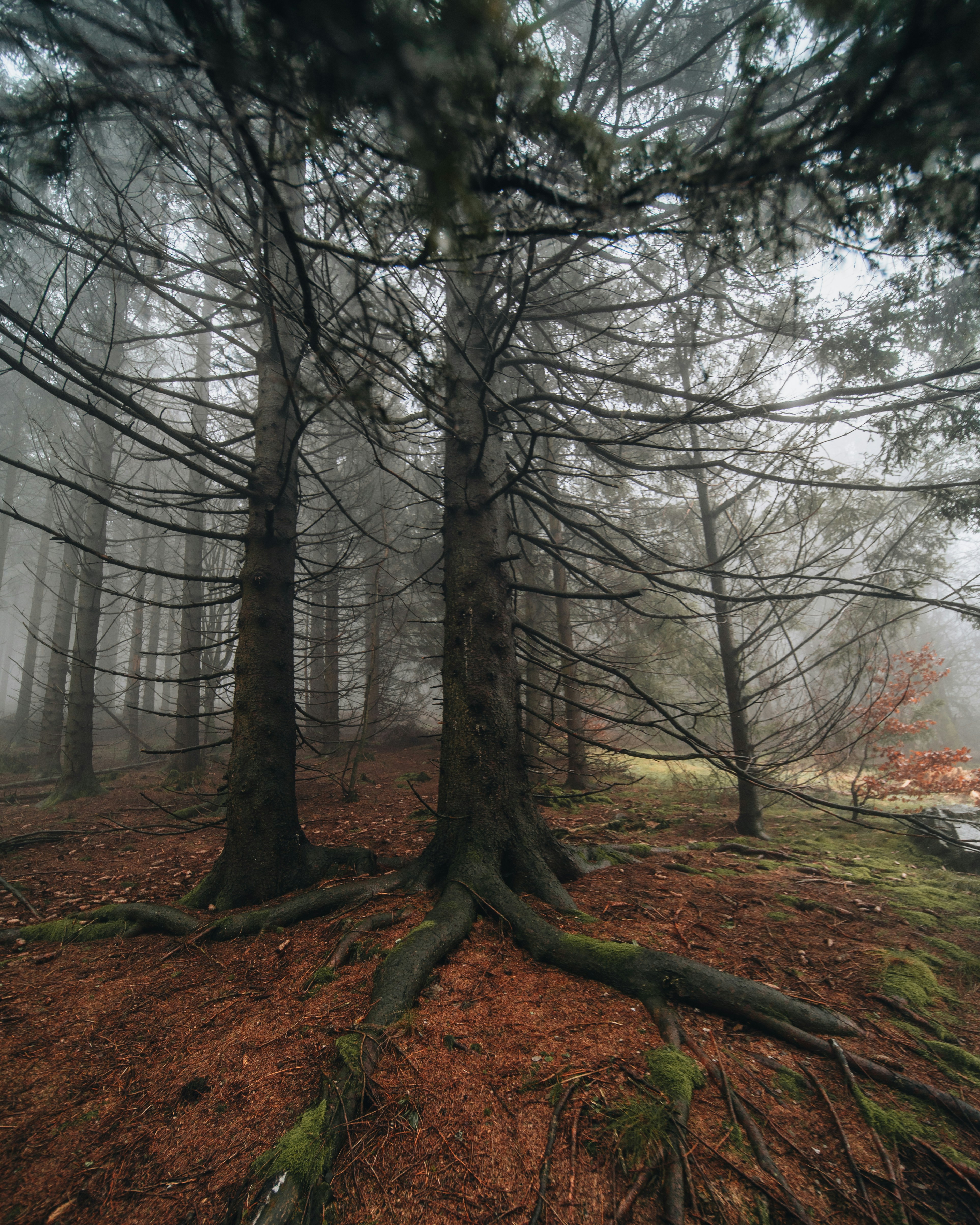 Photo by masoodaslami