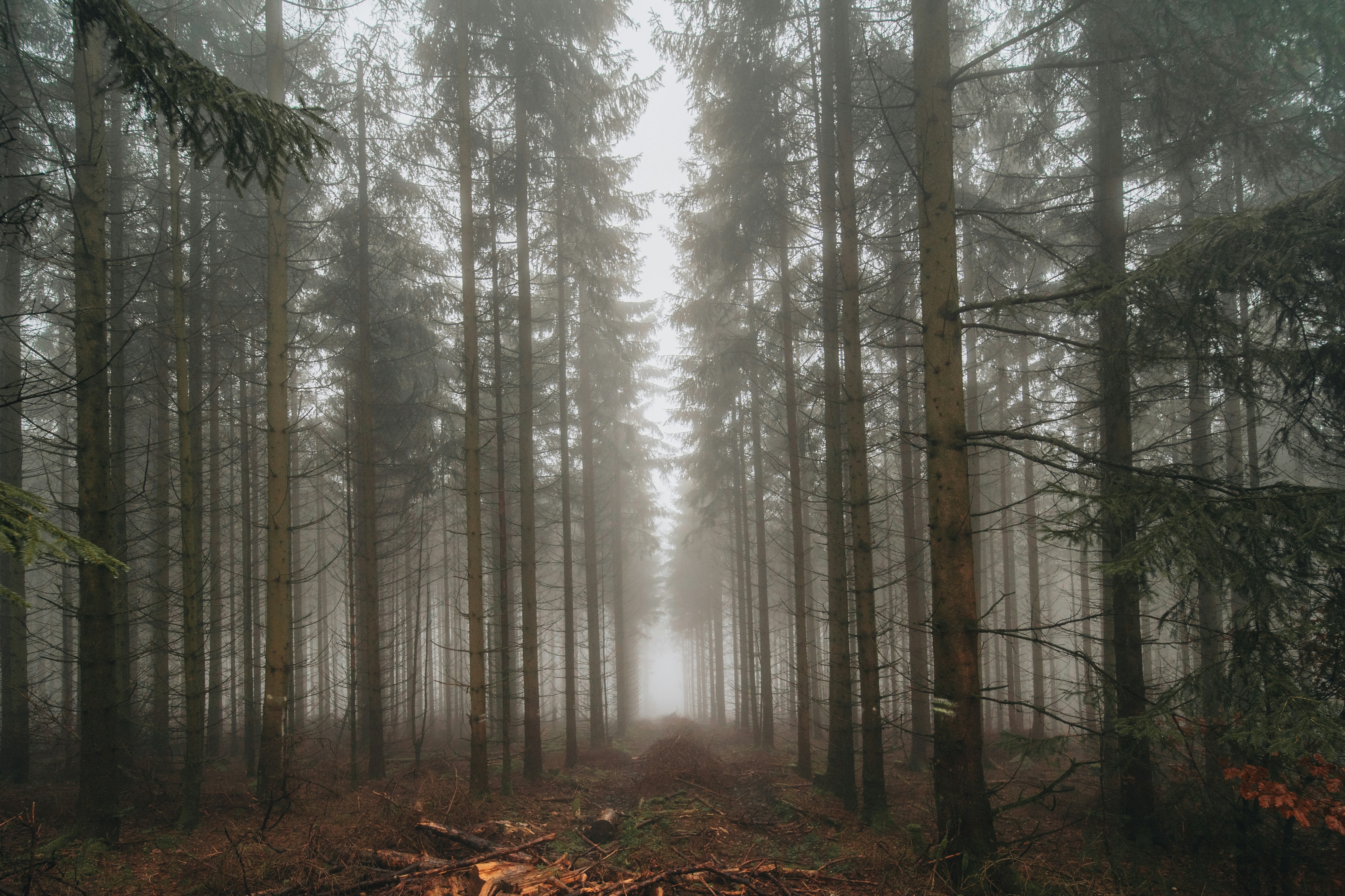 Photo by masoodaslami