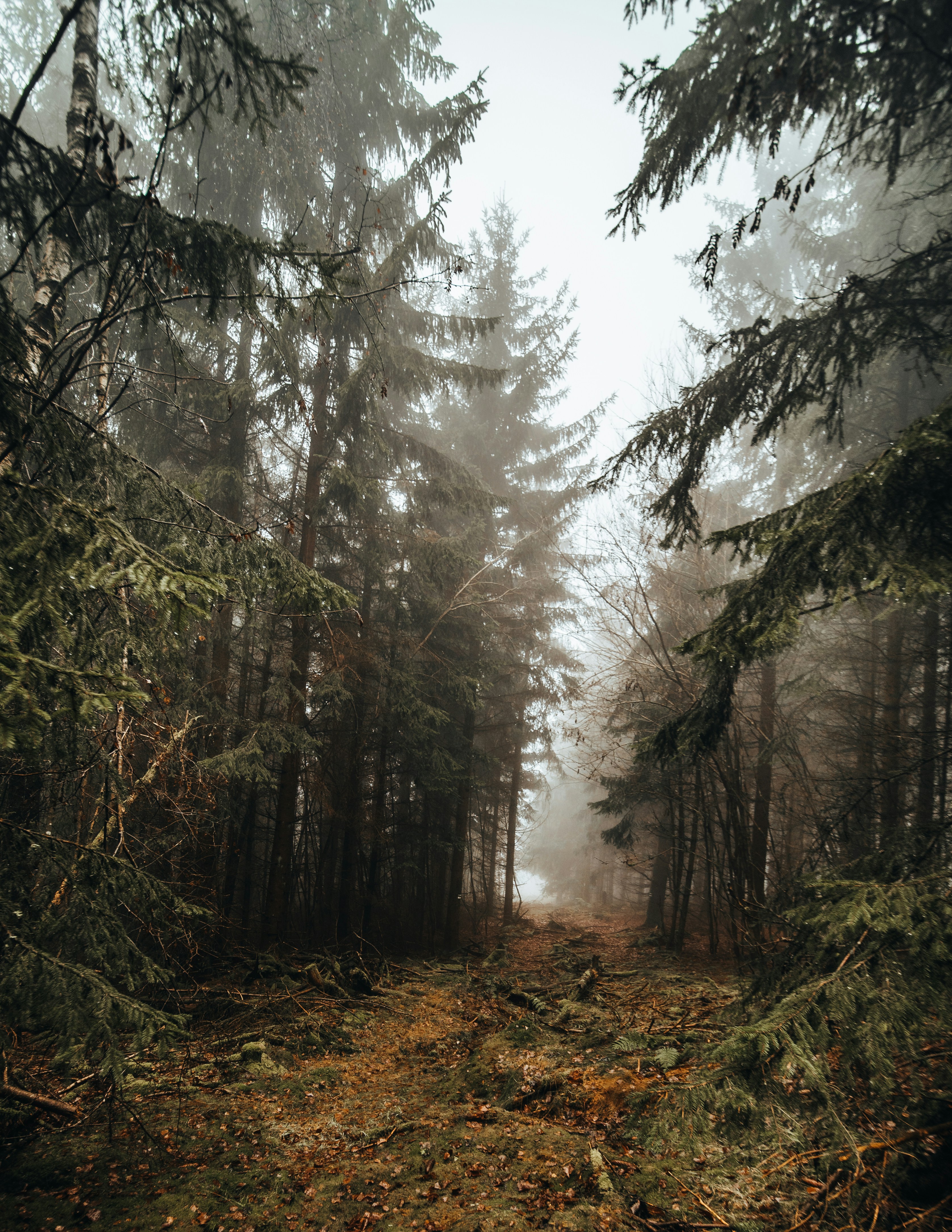 Photo by masoodaslami