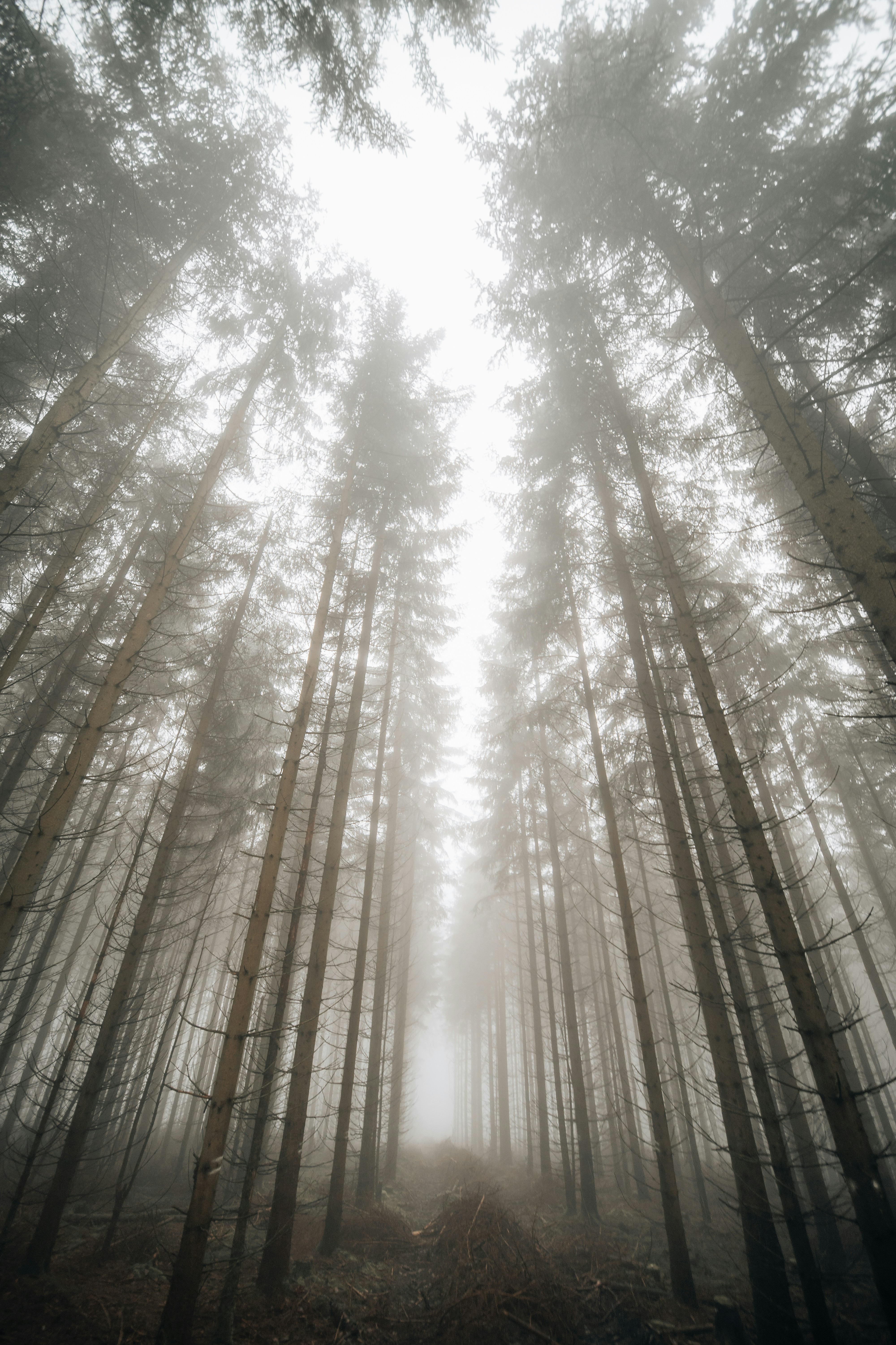 Photo by masoodaslami