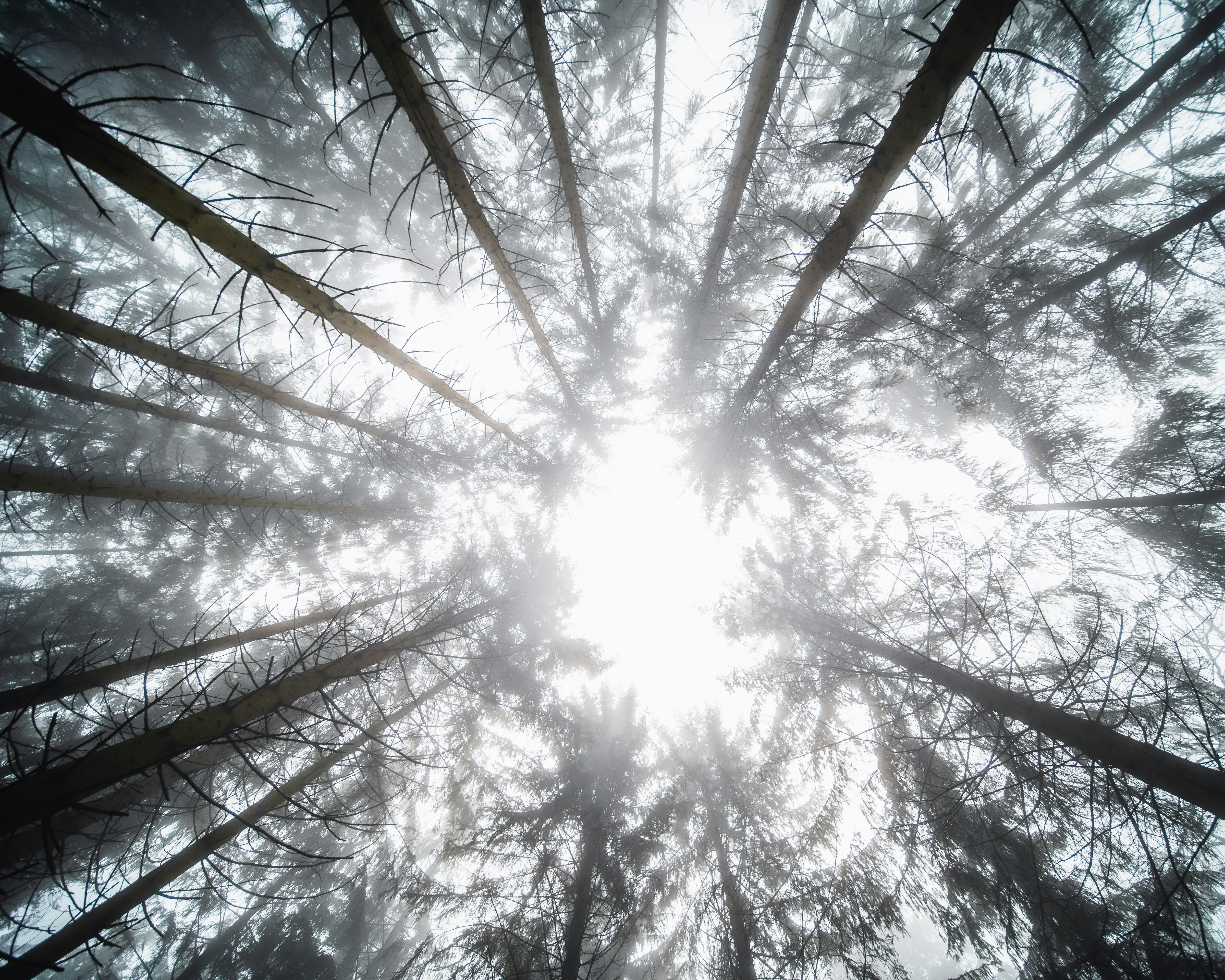 Photo by masoodaslami