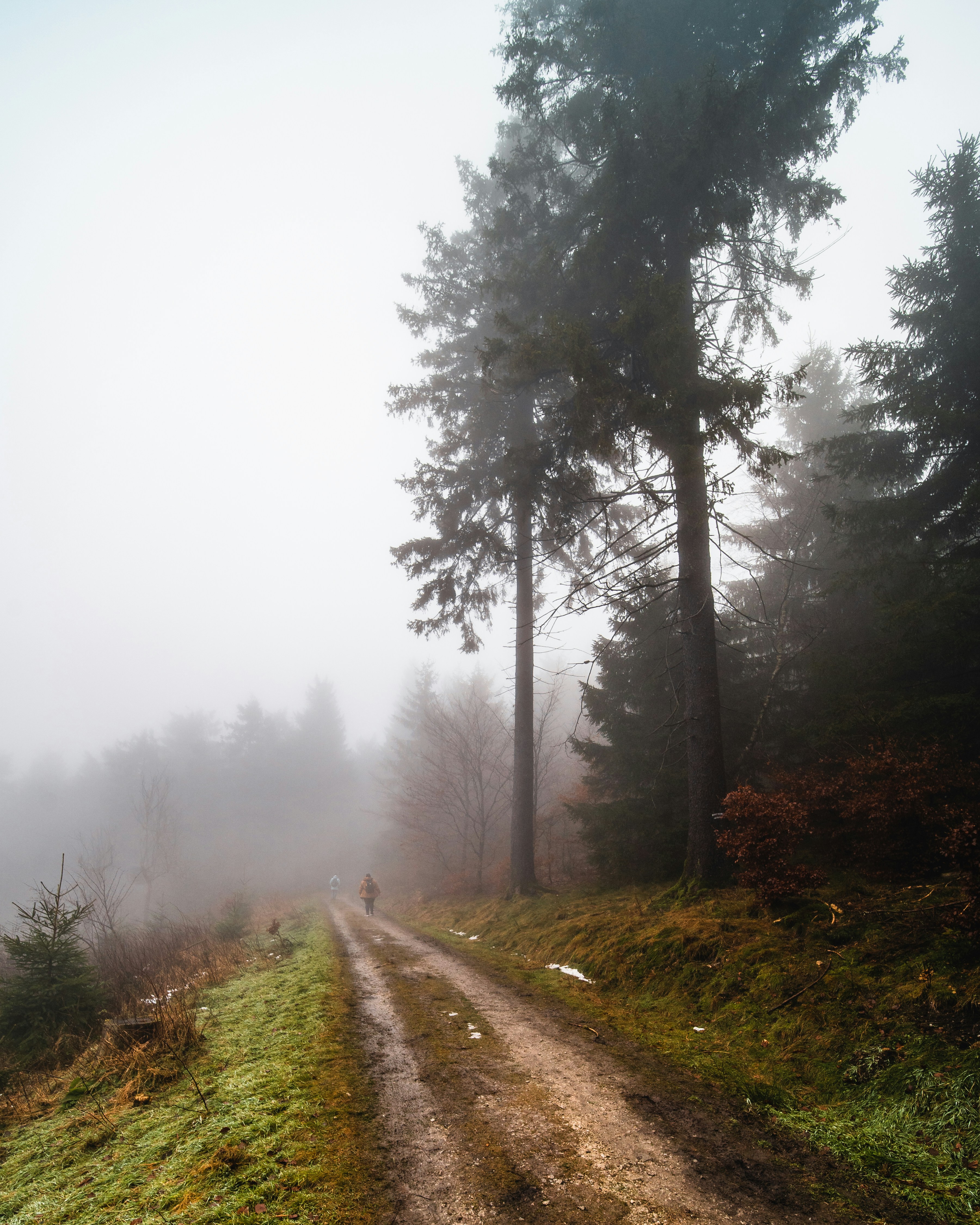 Photo by masoodaslami