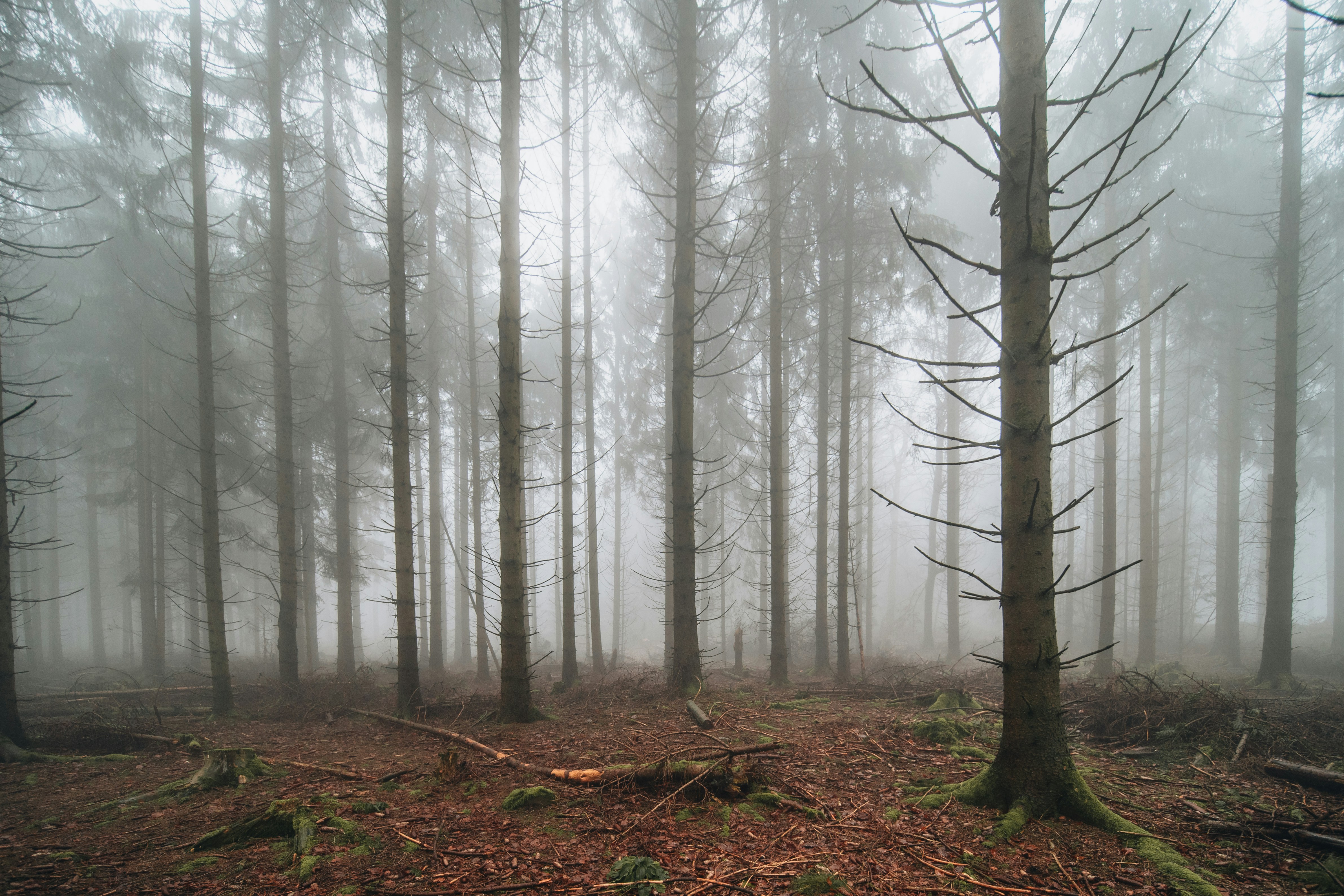 Photo by masoodaslami