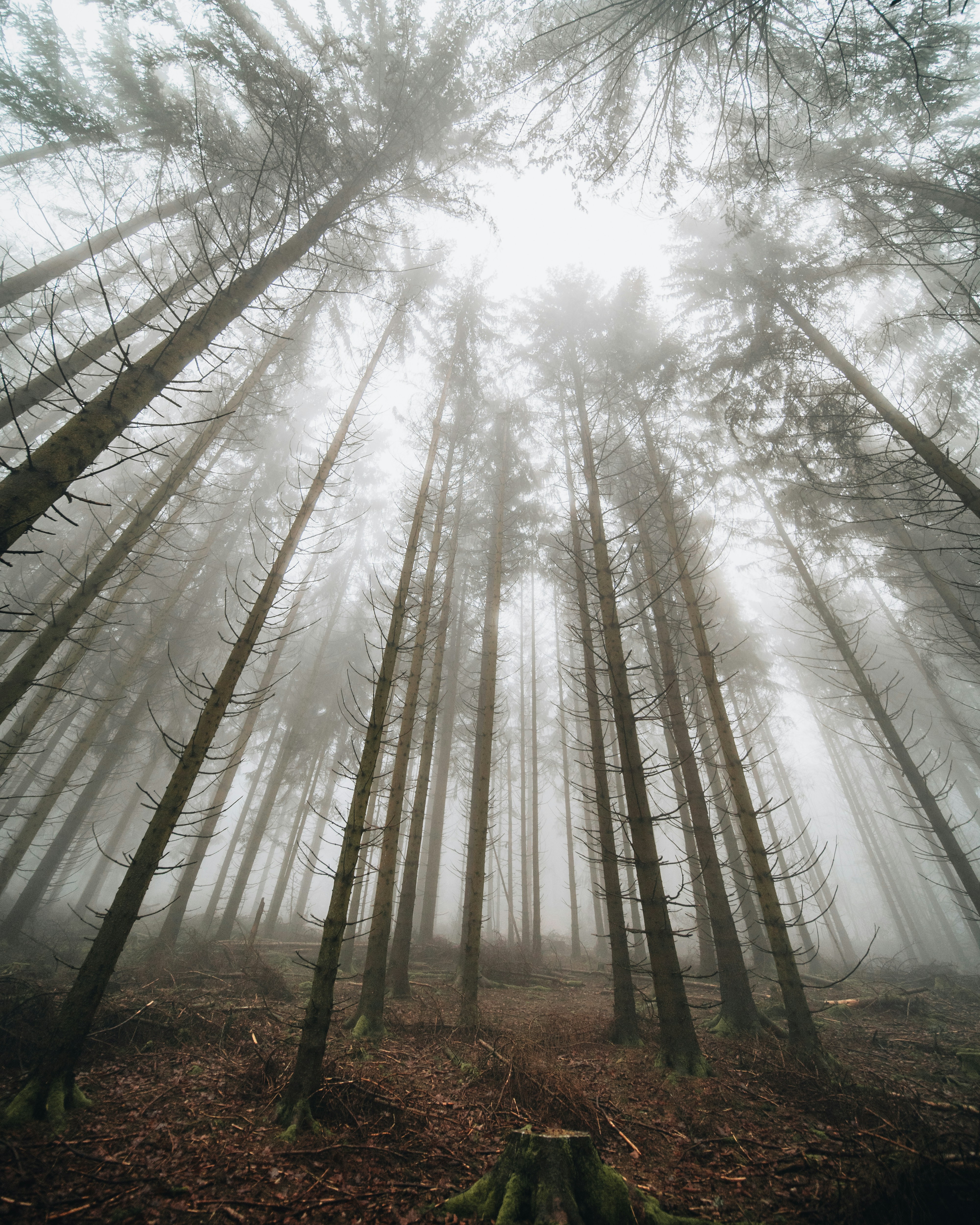 Photo by masoodaslami