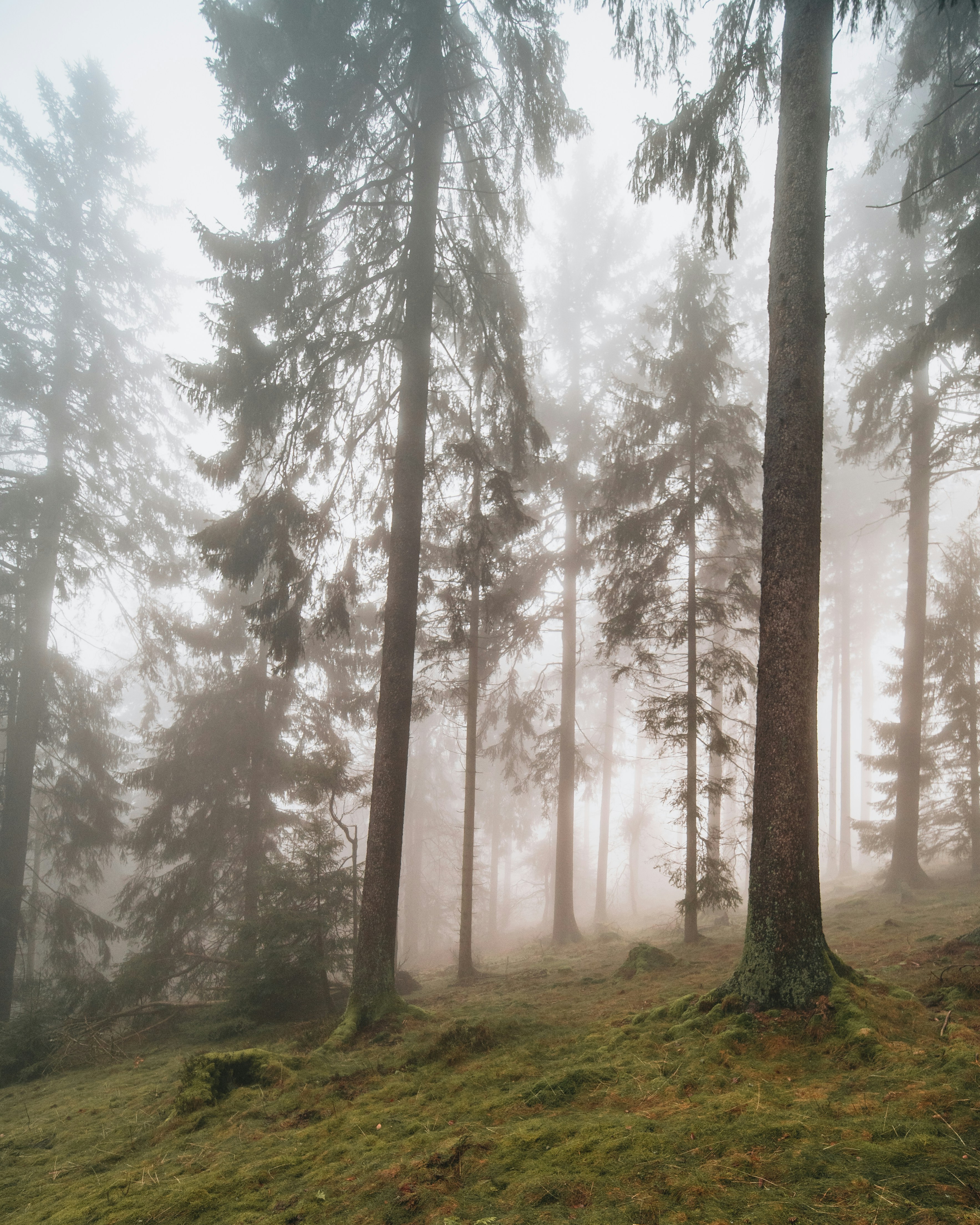 Photo by masoodaslami