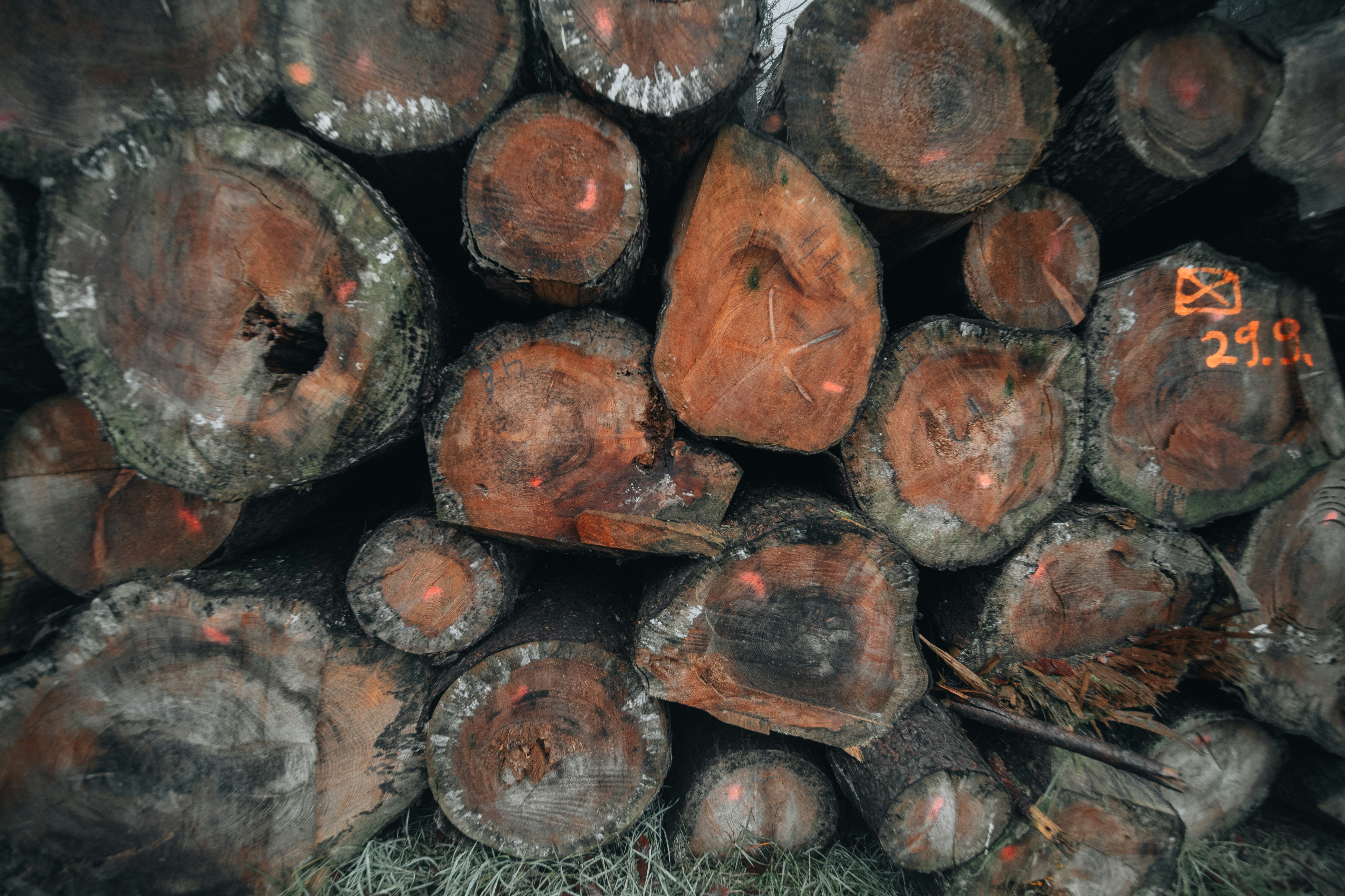 Photo by masoodaslami