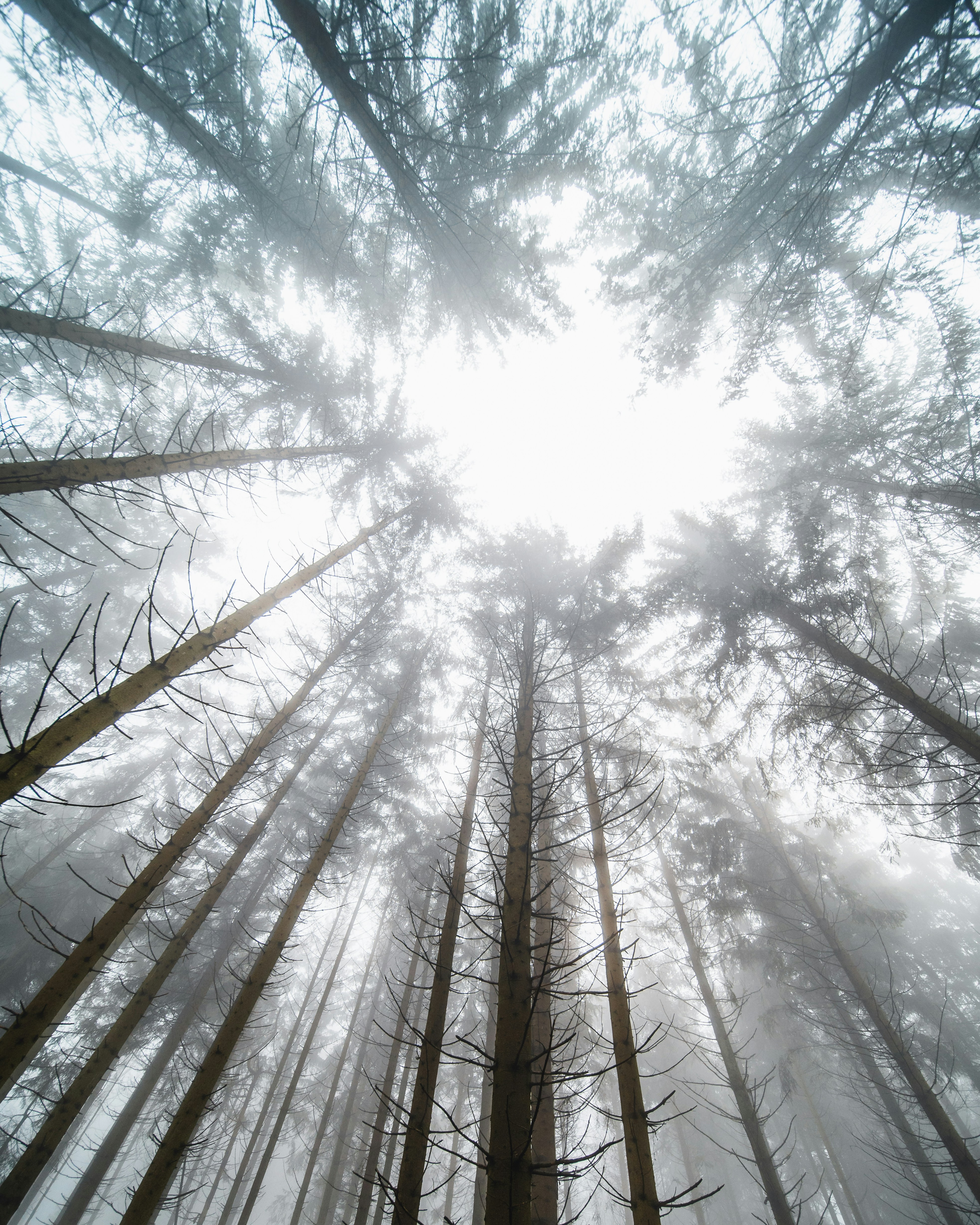 Photo by masoodaslami