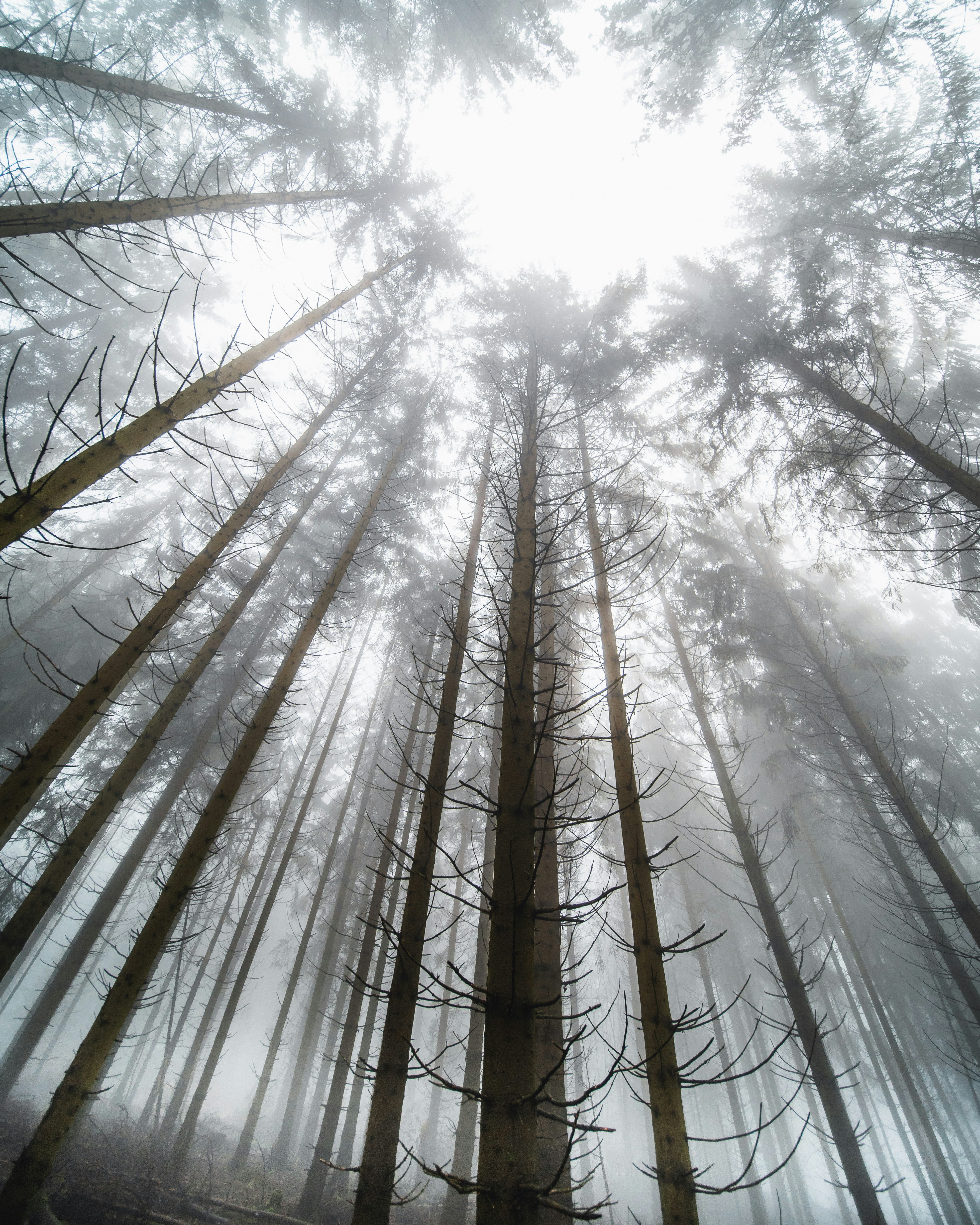 Photo by masoodaslami