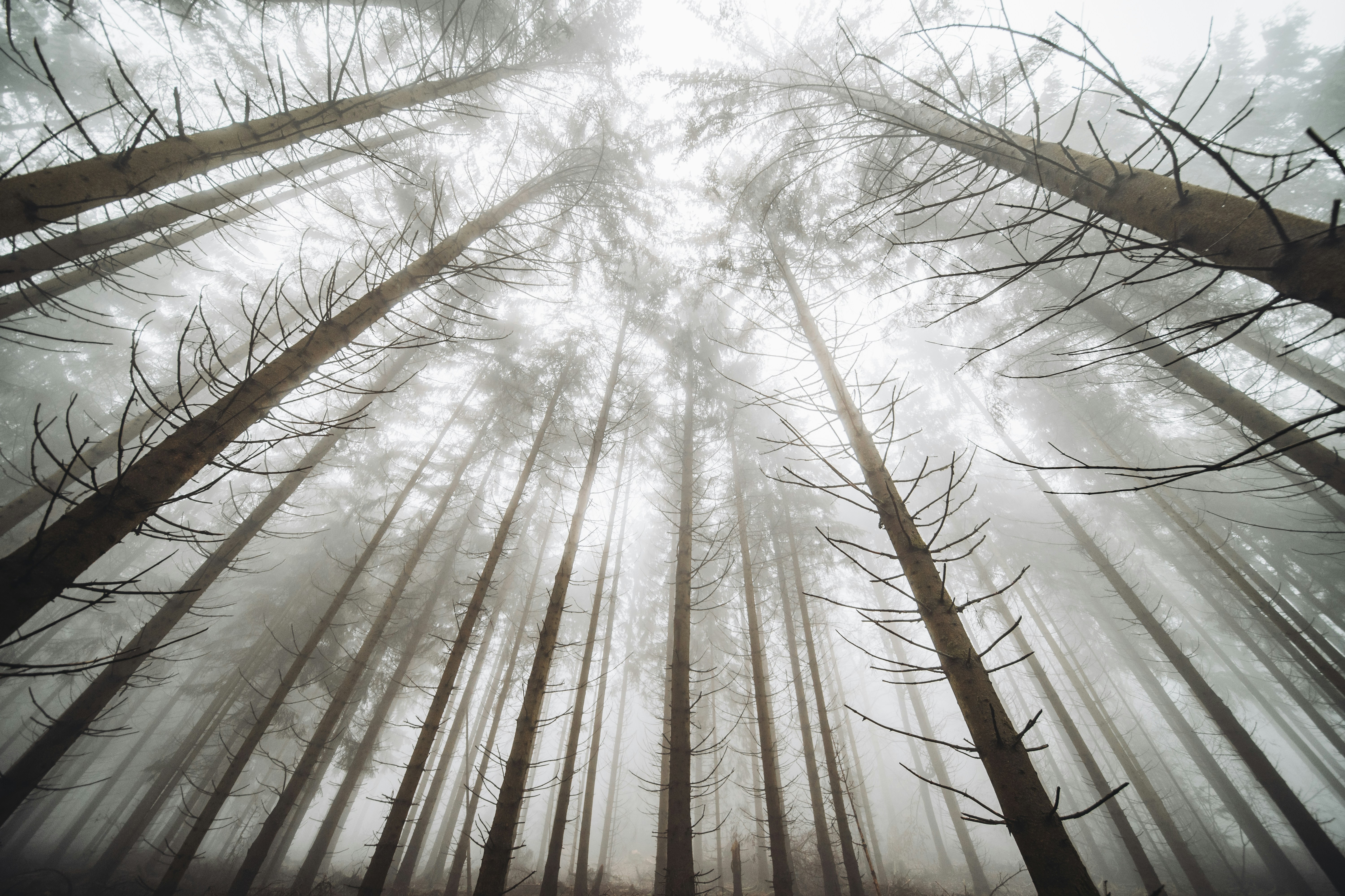 Photo by masoodaslami